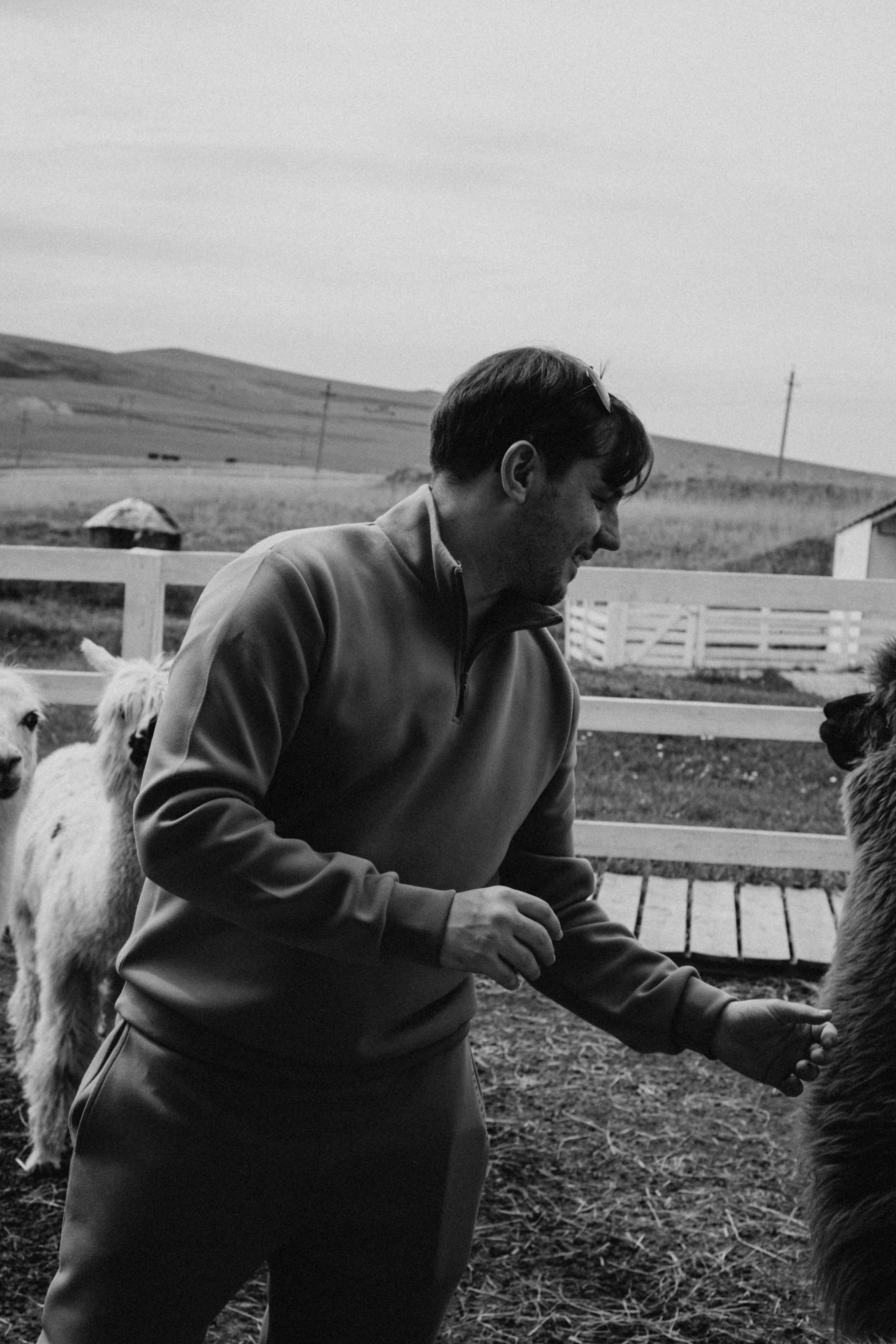 Ферма Альпак. Профессиональный фотограф, Санкт-Петербург — Виктория Богомолова