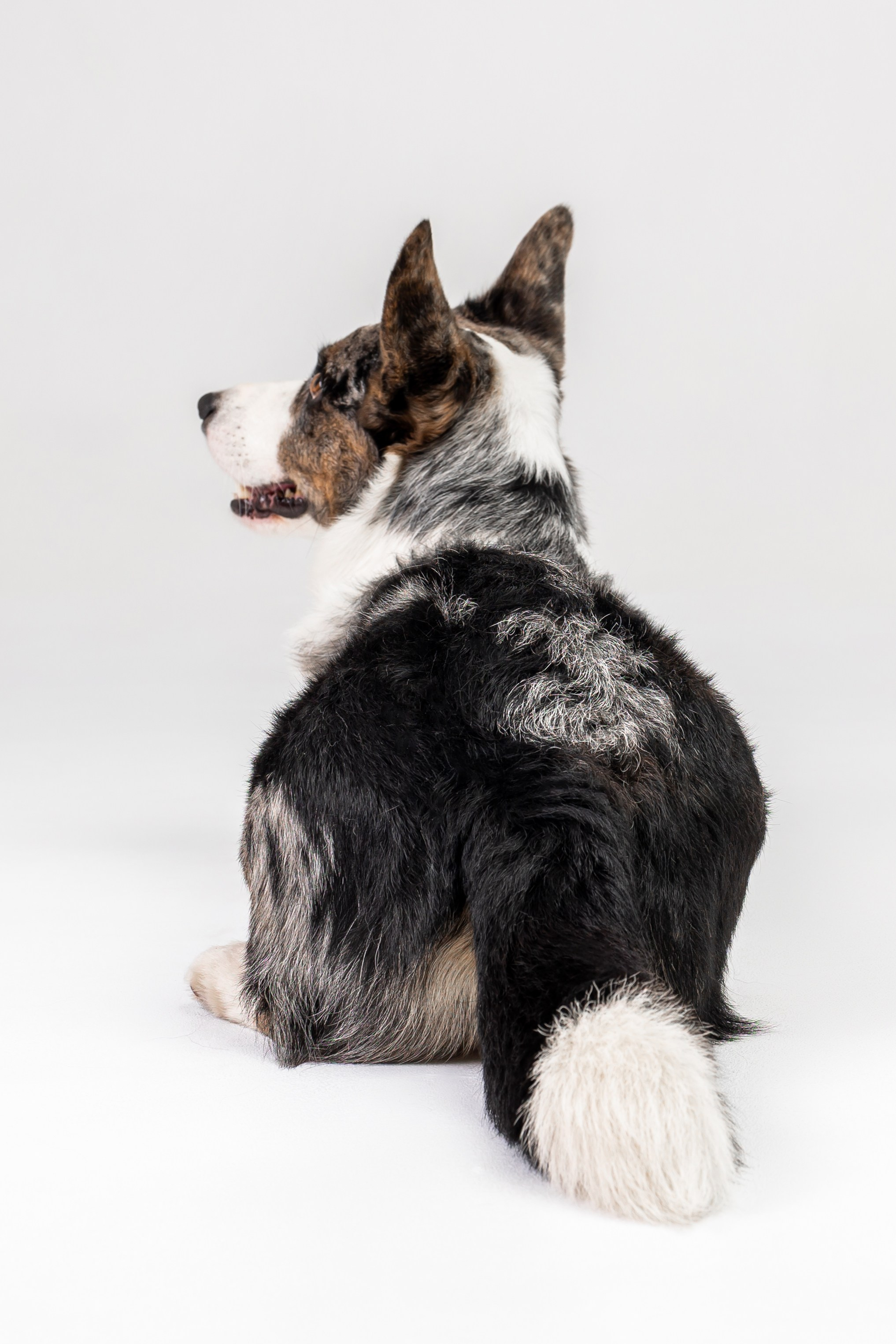 Анатолий и Рагнар