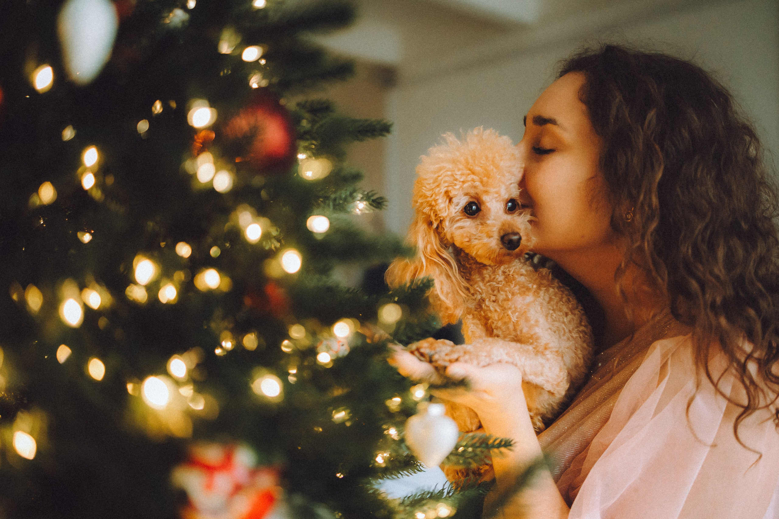 Джули, Шелли и их семья