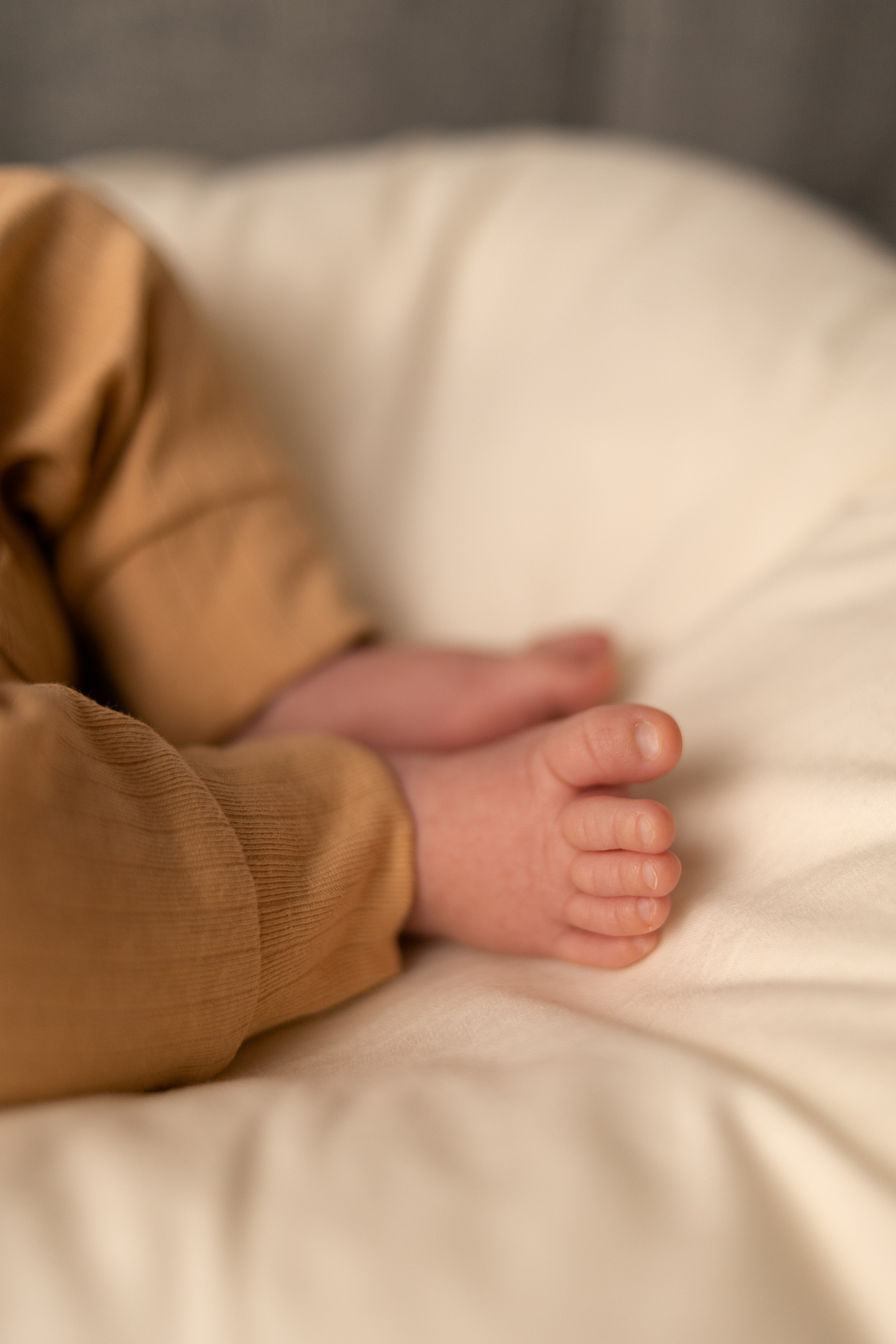 Фотосессия новорожденного в Санкт-Петербурге