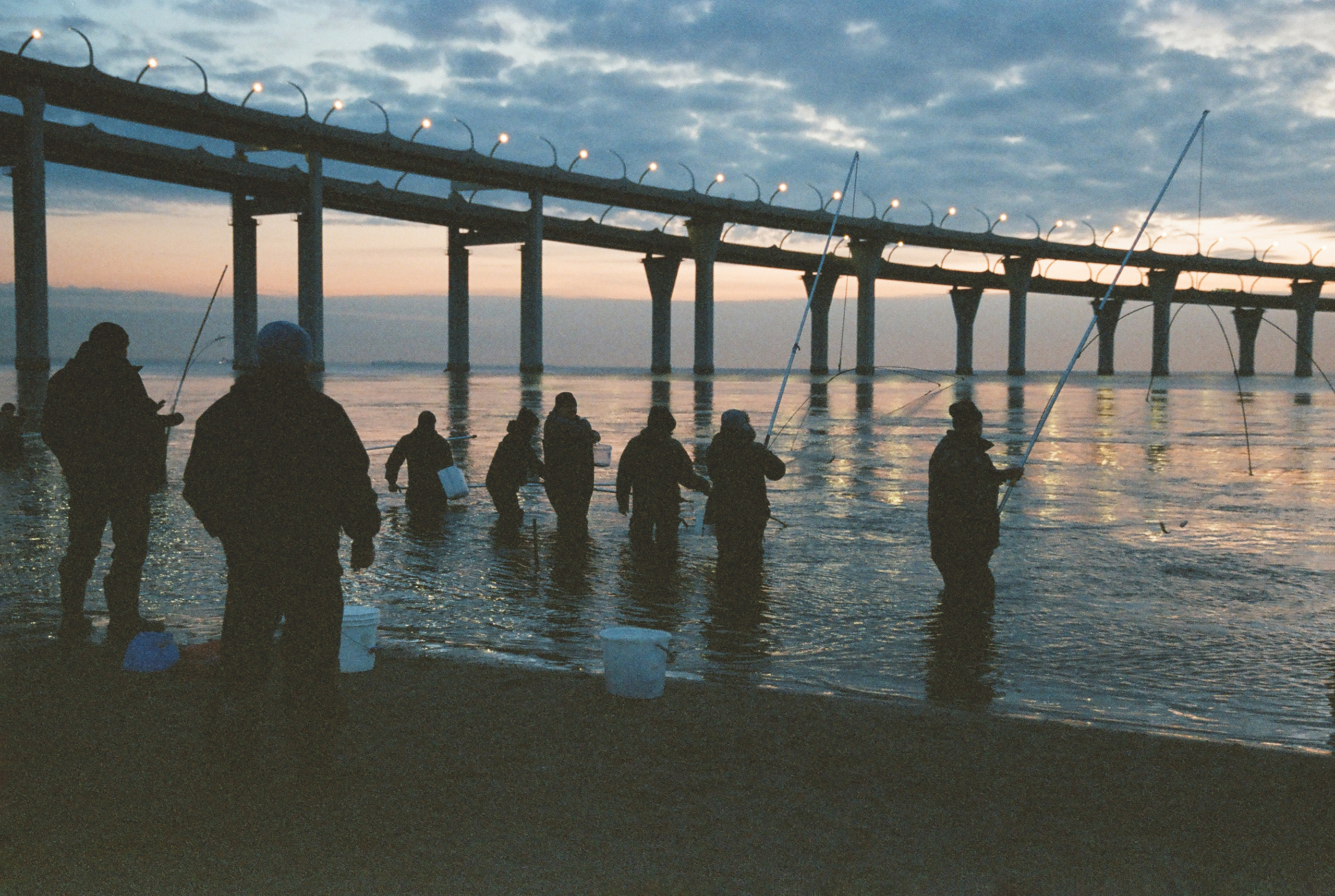 Фотографии цветные. Свадебный и семейный пленочный фотограф в Петербурге Истомина Ирина