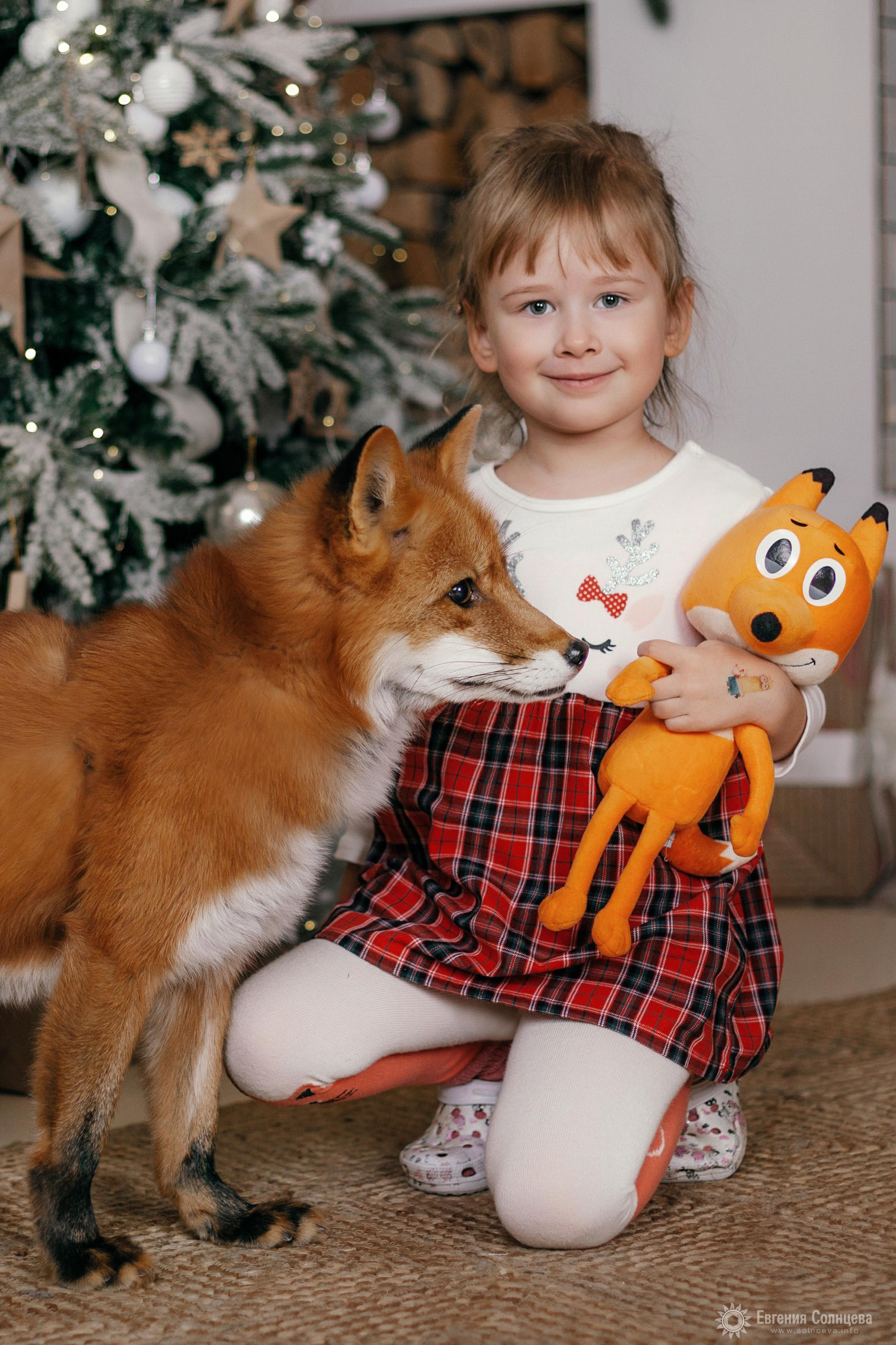 Портретный фотограф в Санкт-Петербурге Евгения Солнцева. Фотограф в Санкт-Петербурге, — Евгения Солнцева