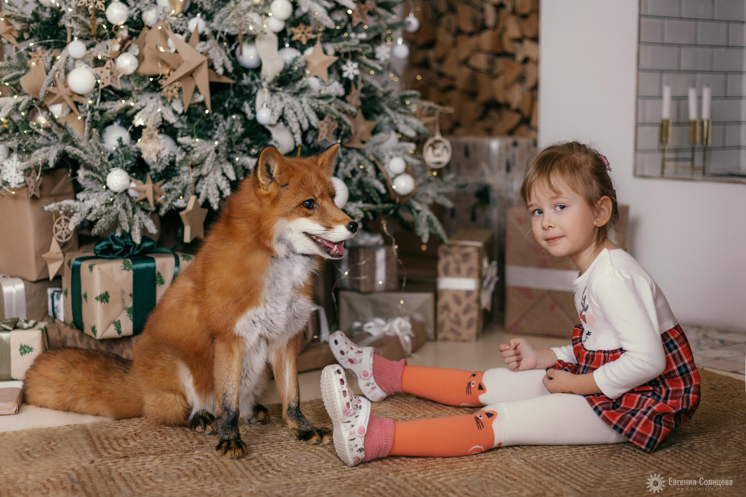 Портретный фотограф в Санкт-Петербурге Евгения Солнцева. Фотограф в Санкт-Петербурге, — Евгения Солнцева
