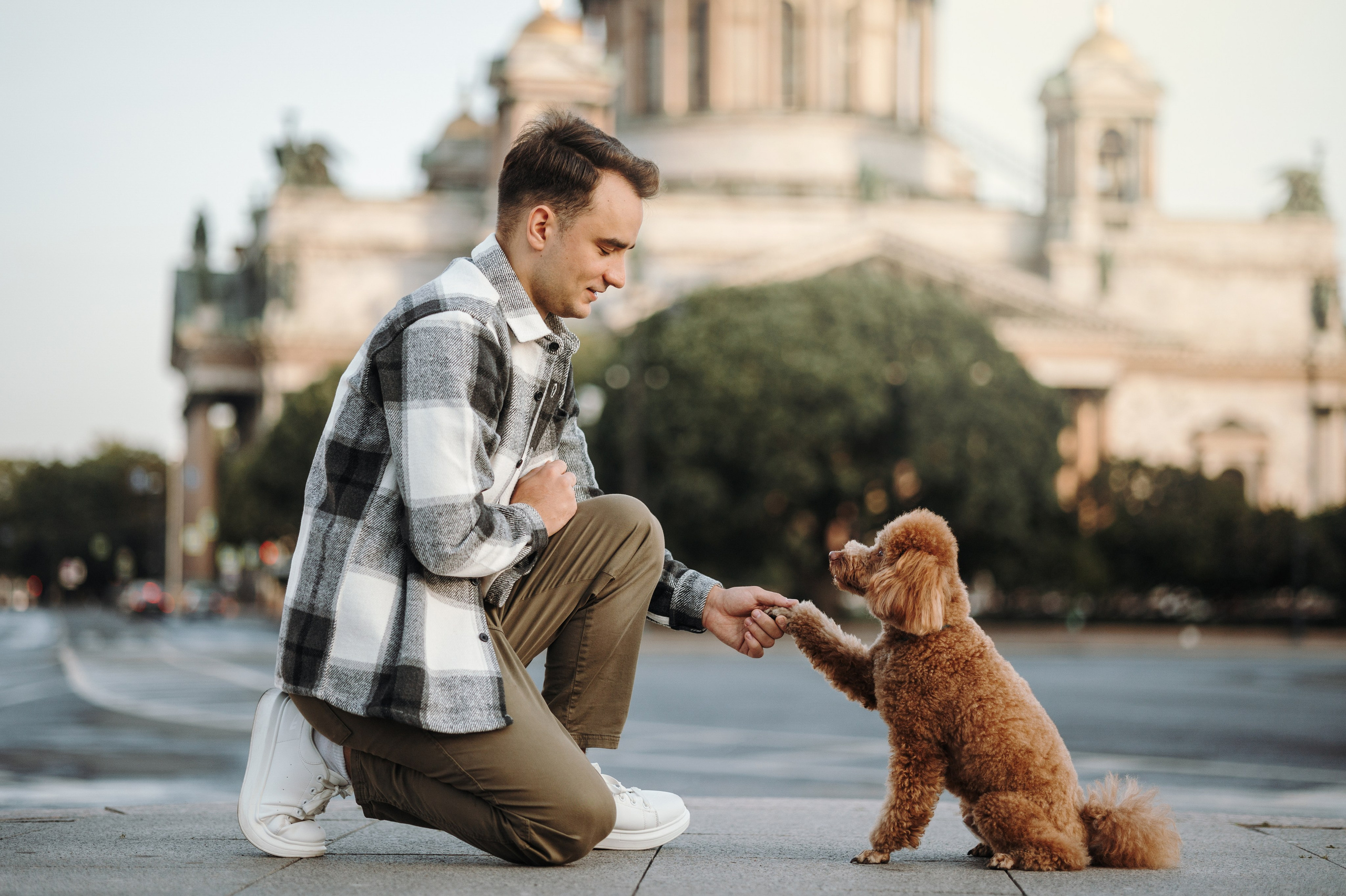 Барни и его семья. Фотограф — Анималист | Санкт-Петербург