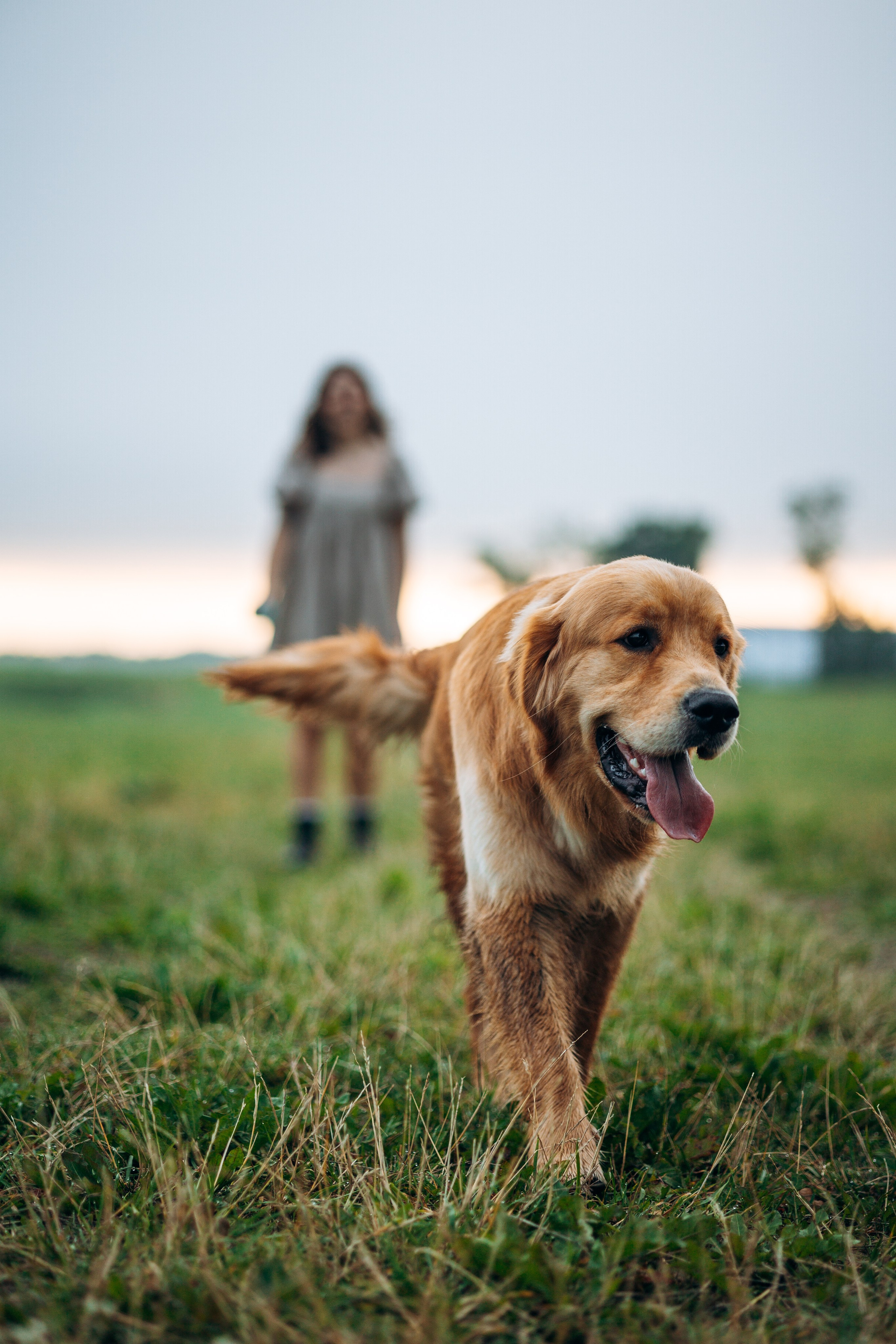 Аня и Ноллан. Фотограф — Анималист | Санкт-Петербург