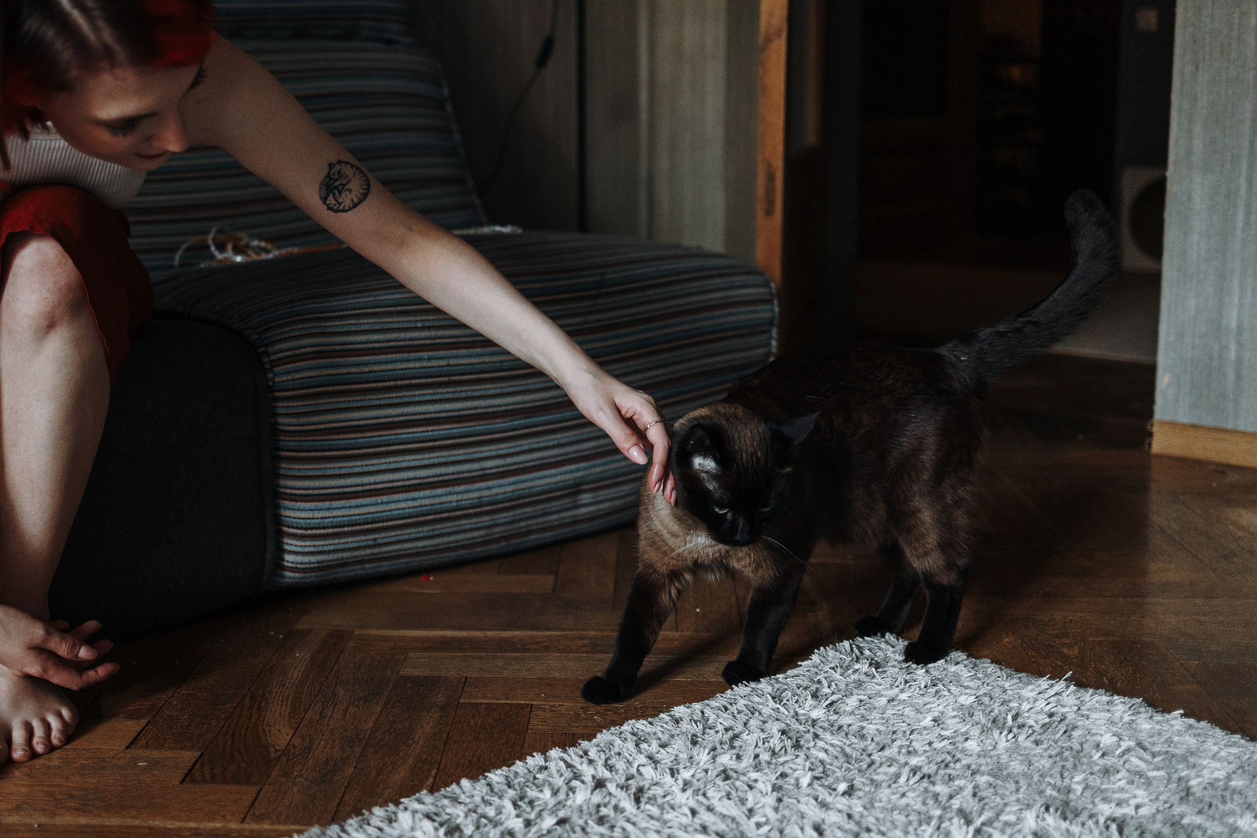 Саша и ее хвосты. Фотограф — Анималист | Санкт-Петербург