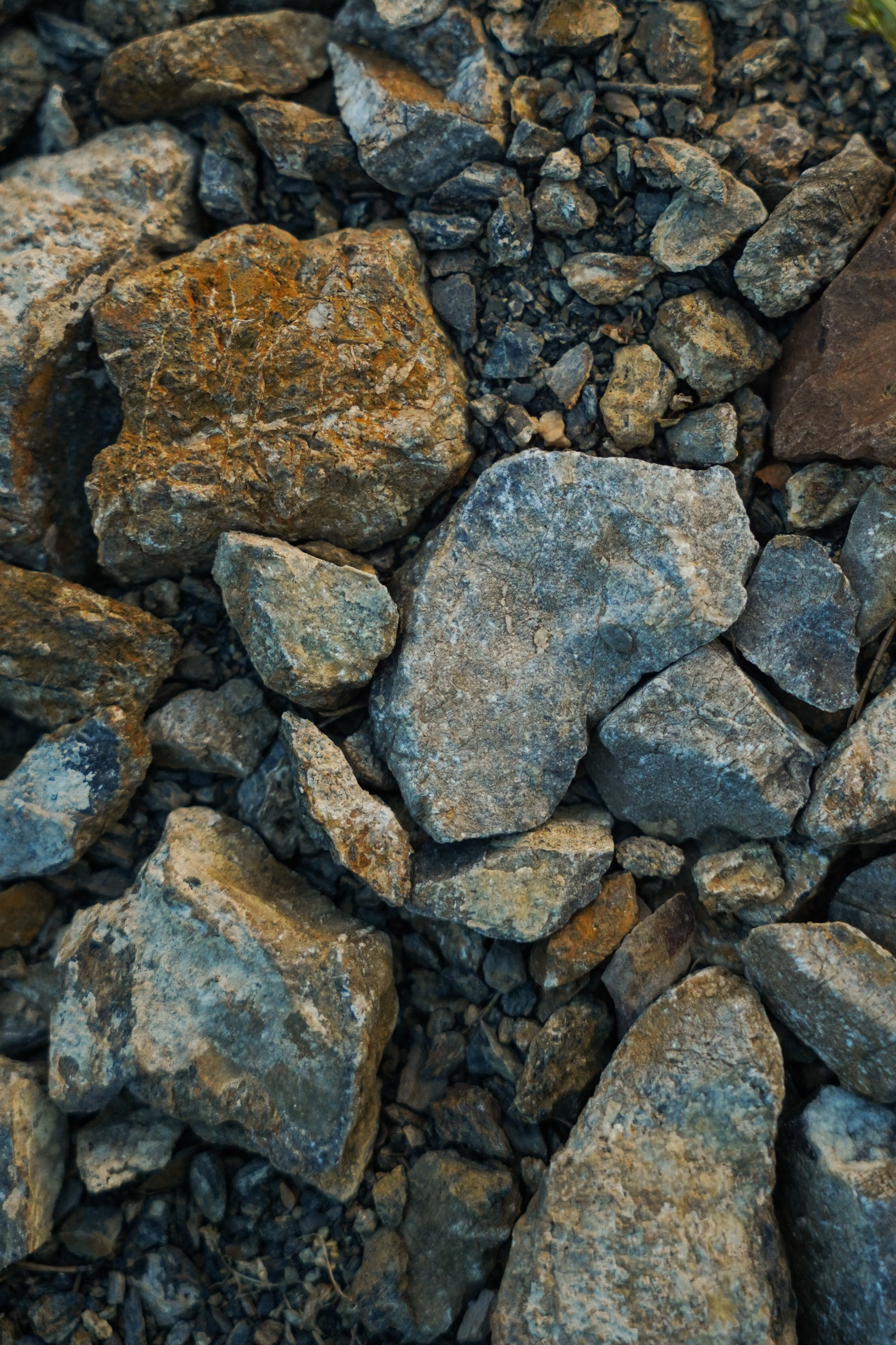 Бирюса 2025. Детали. Фотограф Кощеева Дарья