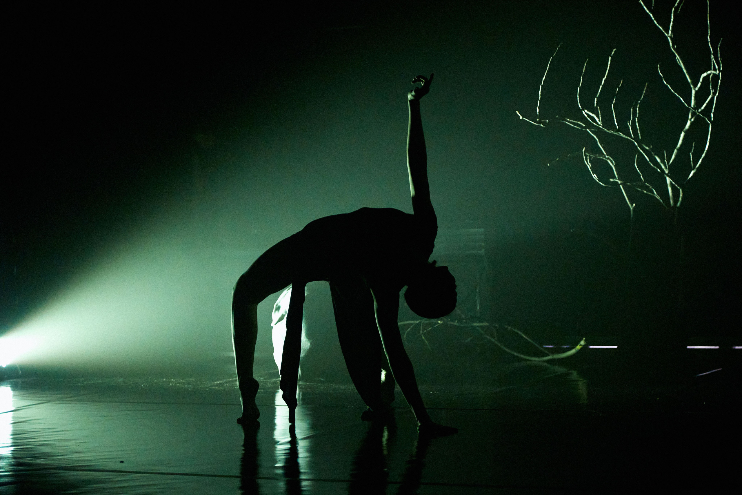 Спектакль «БезДна» театра танца «Скрим». DENISOV ART (фото, видео, дизайн) САМАРА