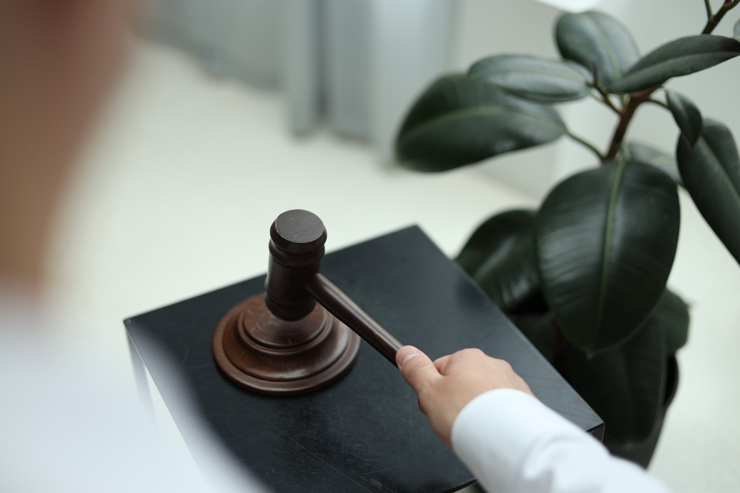 Сергей юрист. Фотограф в Москве и России Елена Крупель