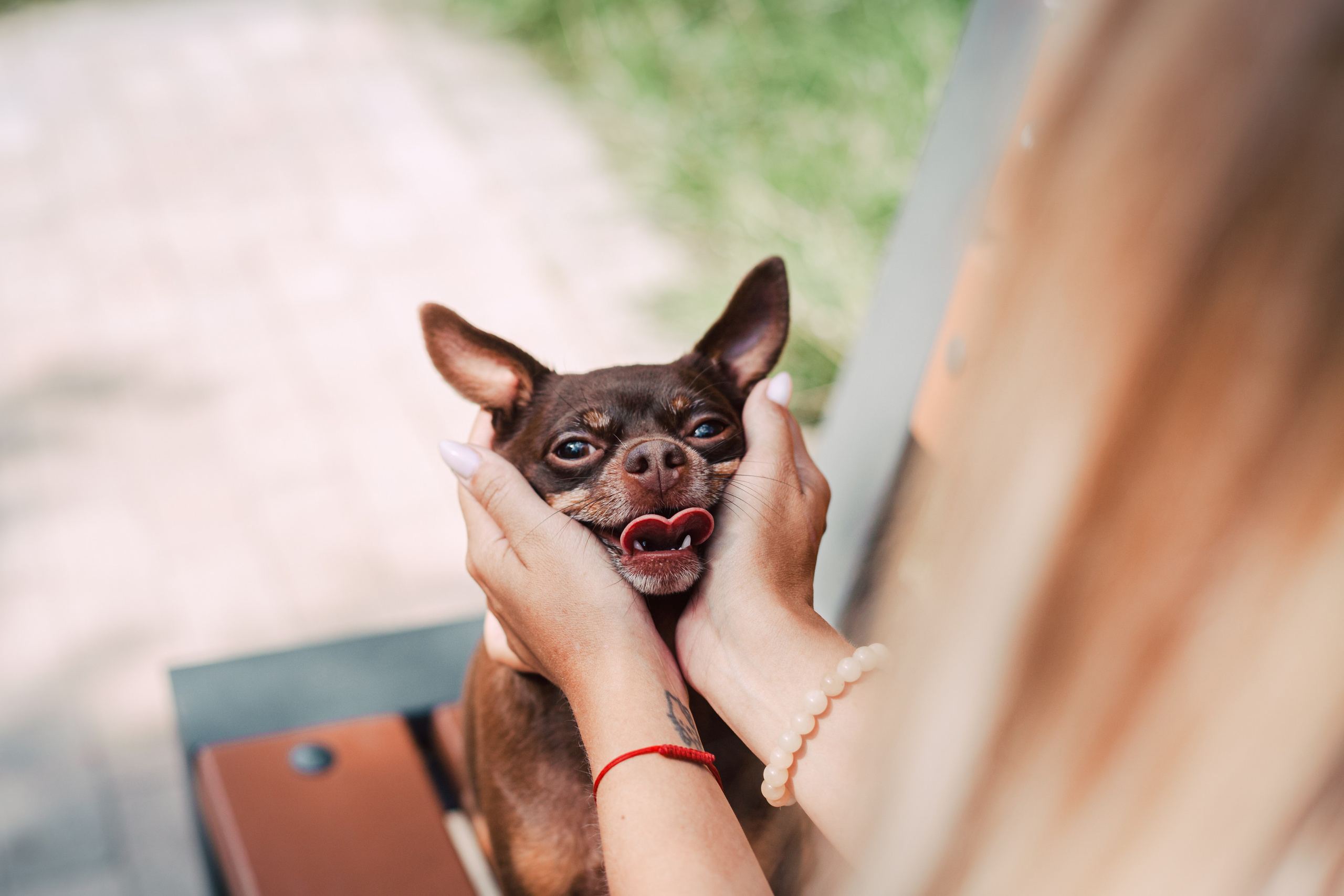 Восточный мост. Фотограф-анималист Татьяна Степанова