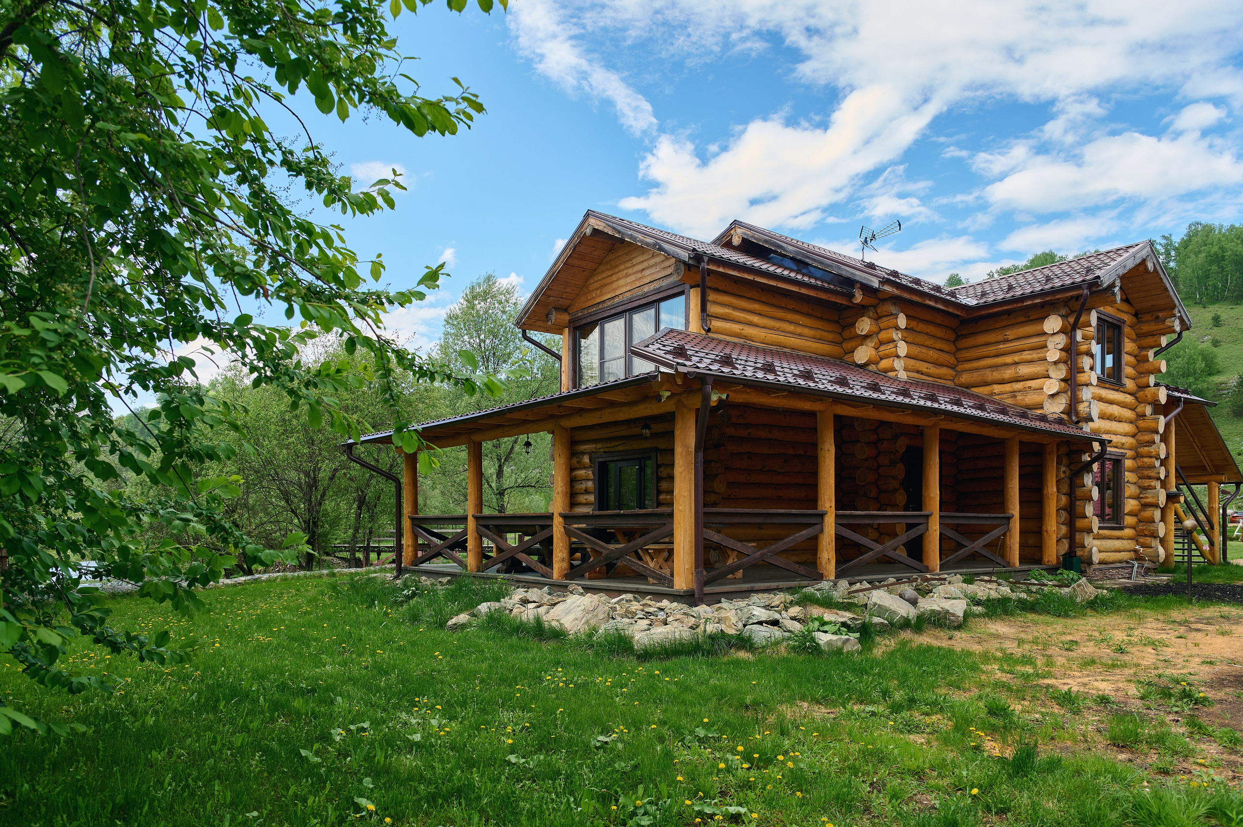 Кедровый берег. Фотограф Опыт Качество Скорость Горный Алтай Барнаул