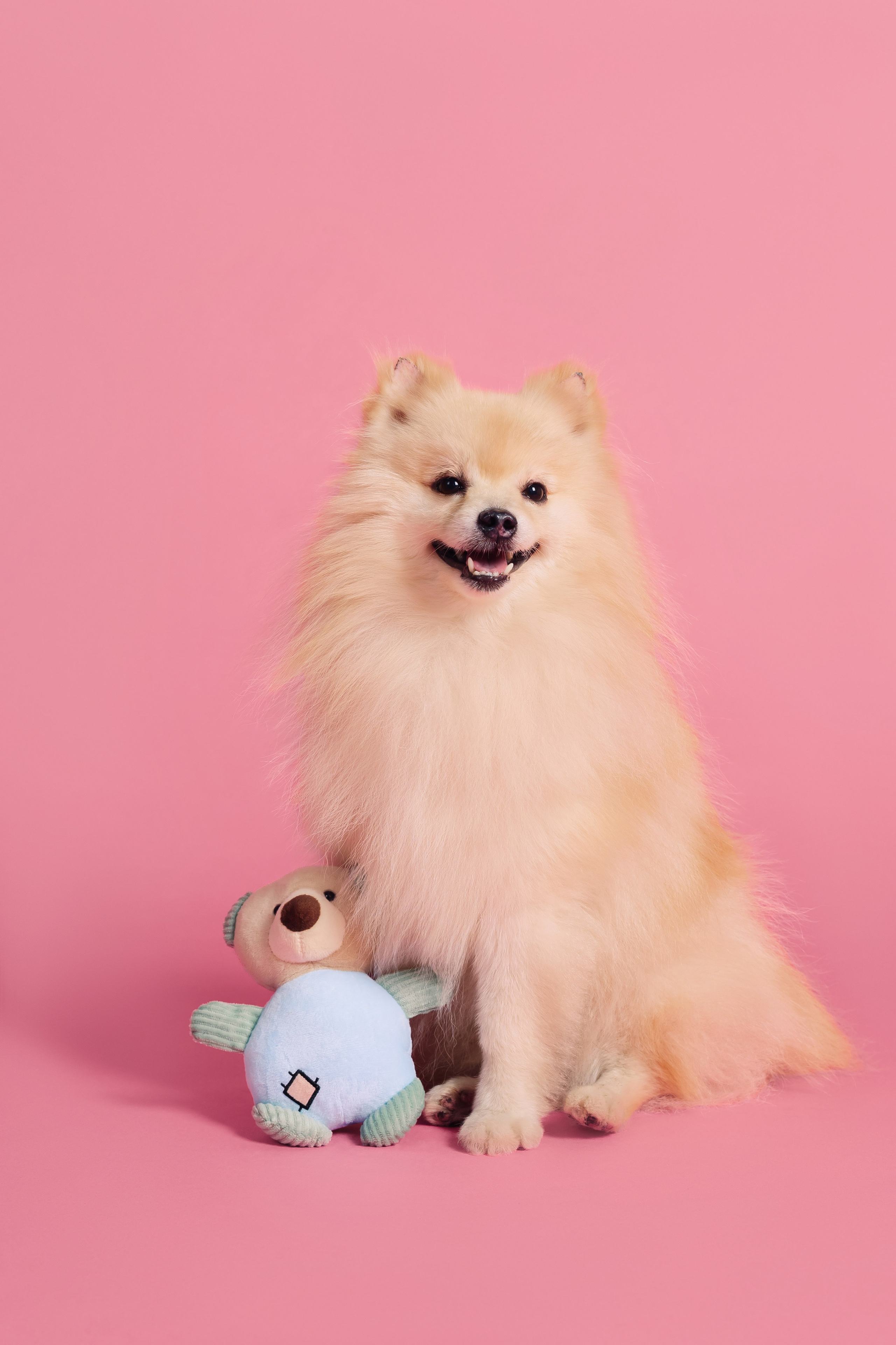 Магазин Friend of mine. Фотограф-анималист Елена Радченко, Москва