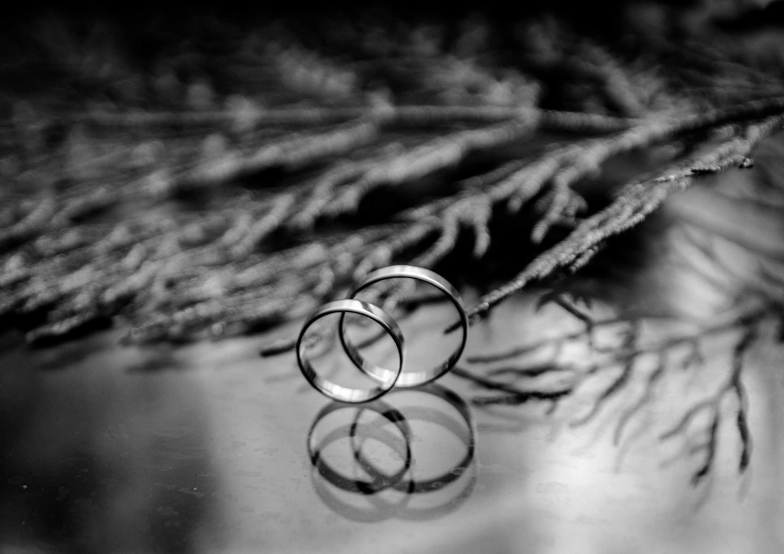 Фотографы. Организатор праздников. Ведущая Марина Гребенникова