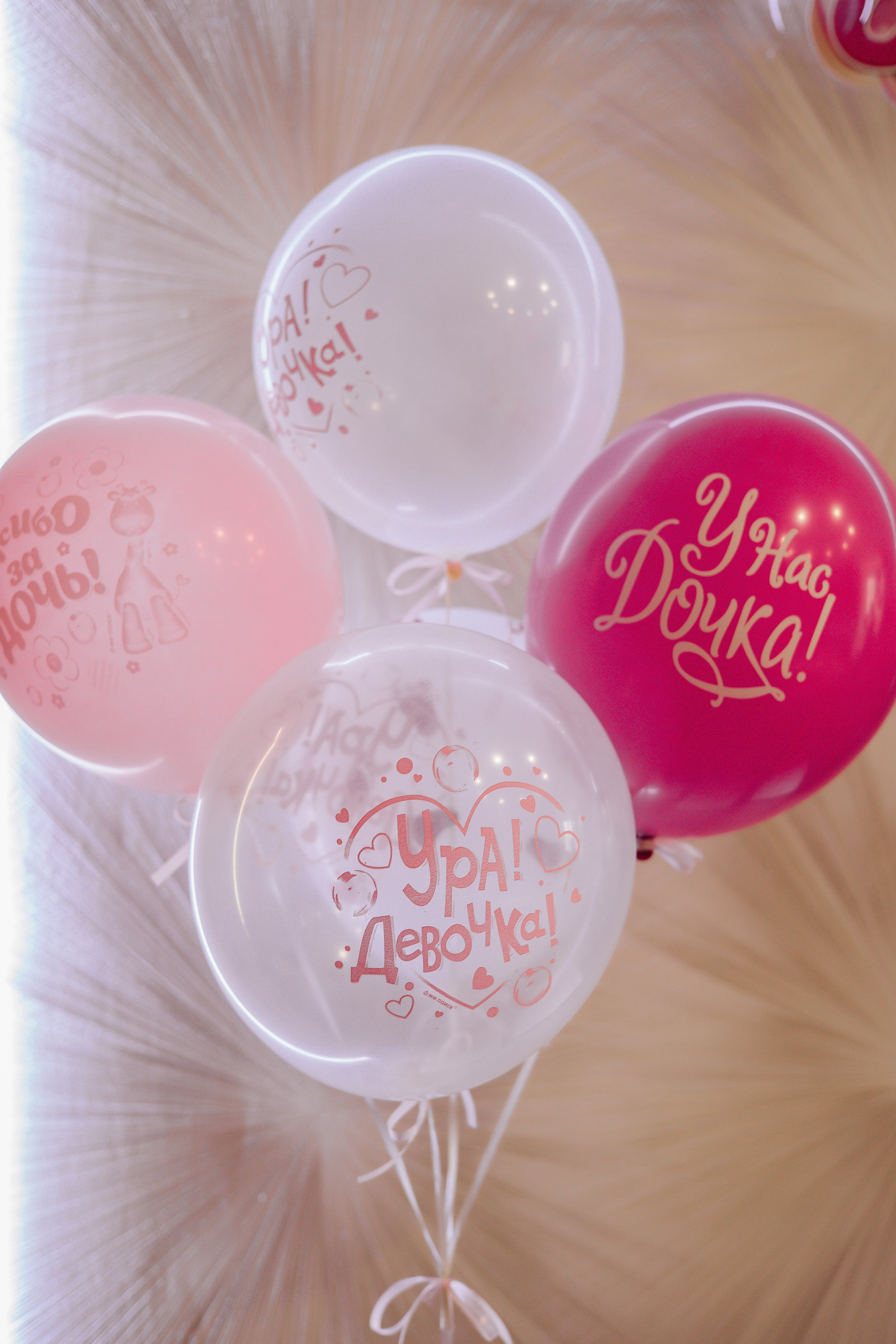 Выписка Вари. Свадебный и семейный фотограф Пушкин Царское Село СПБ Питер Санкт-Петербург и Рязань Ольга Козлова