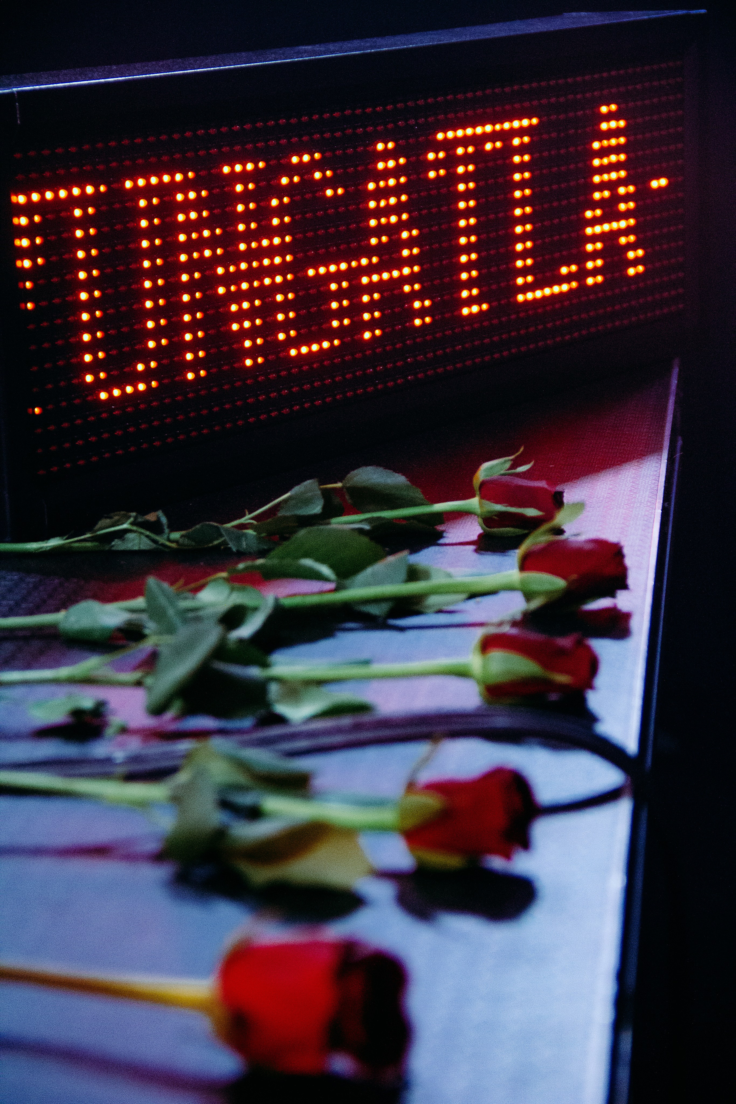 Love Party DE MATES. Репортажный фотограф Блинова Мария