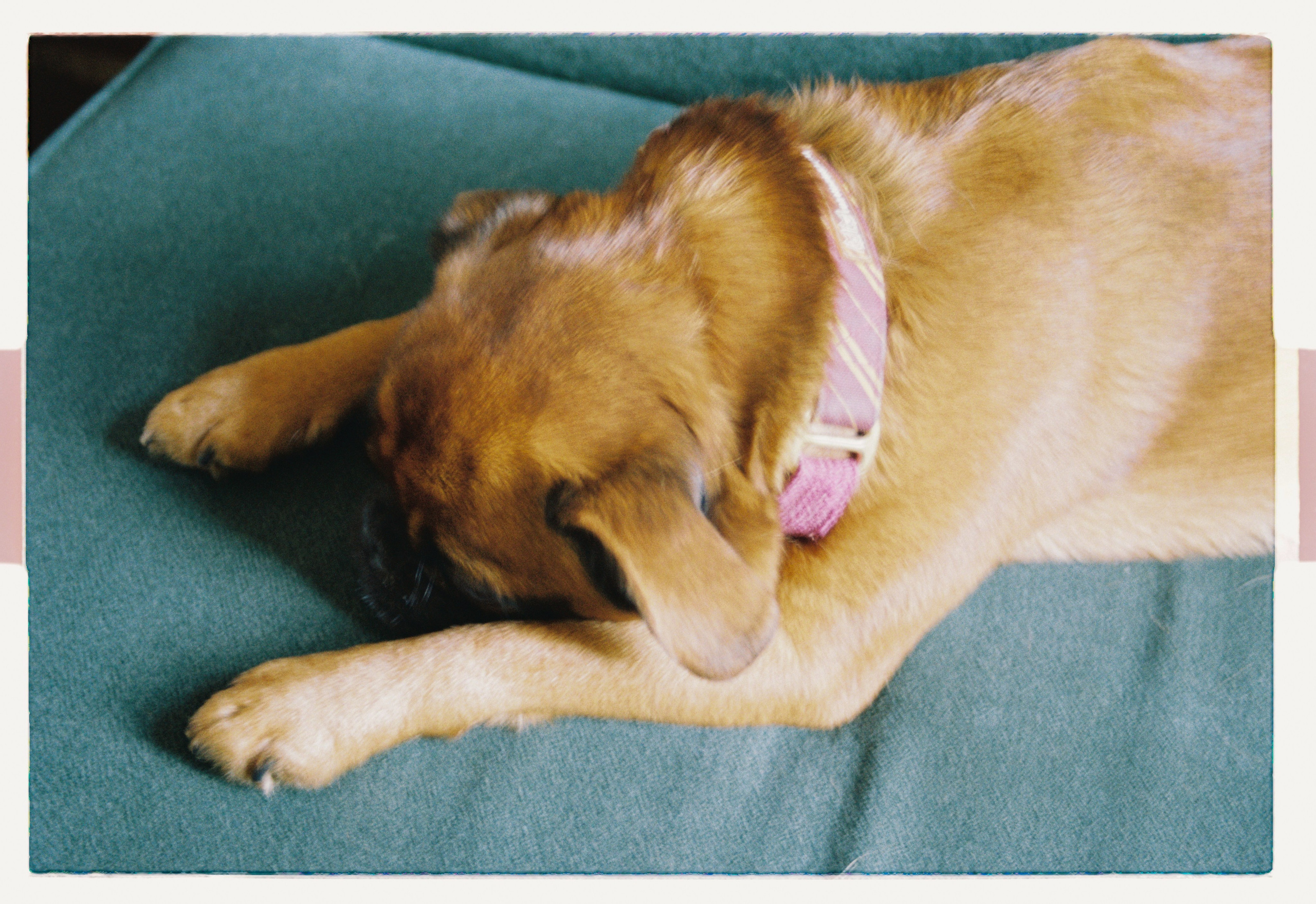 Историю любви Юли и Тина. Главная