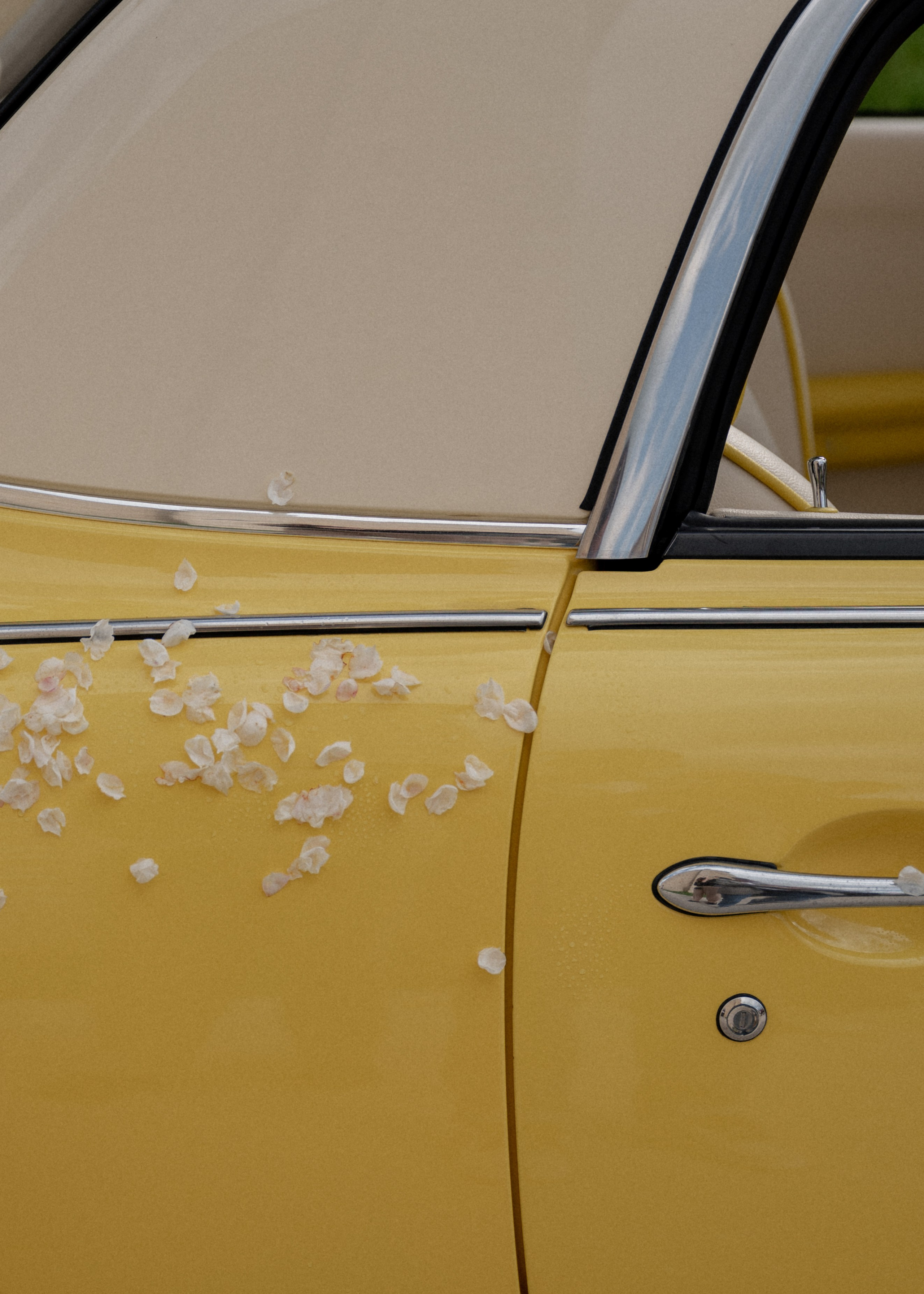 СВАДЕБНЫЕ СЕРИИ. Свадебный фотограф в Москве и Санкт-Петербурге Марина Шеянова