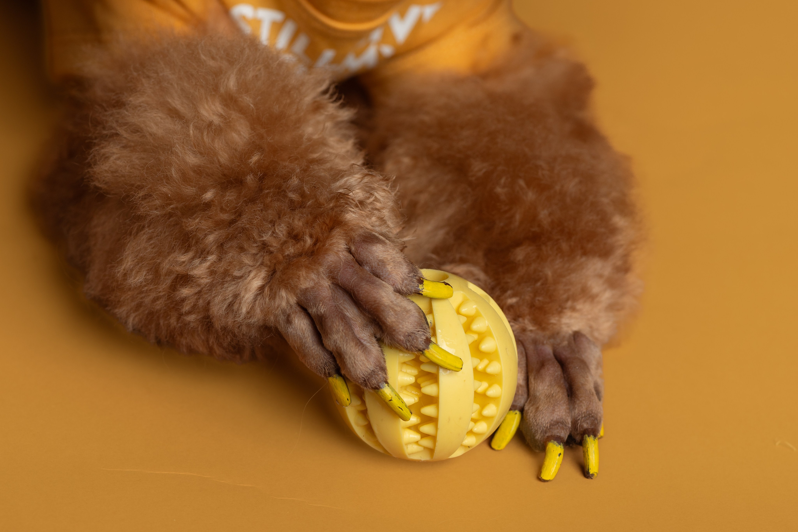 СЪЕМКИ ДОМА