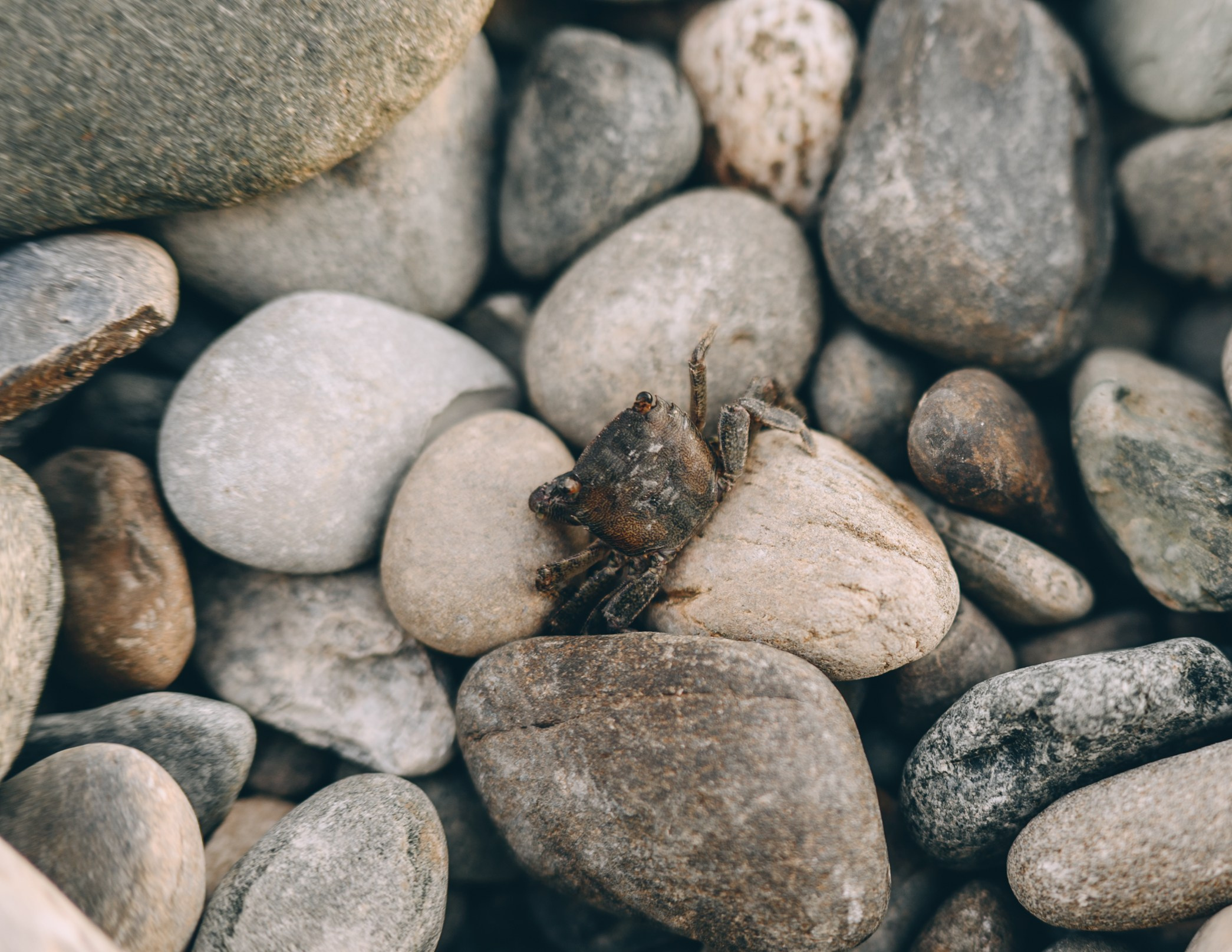 Встреча рассвета на море. Свадебный и семейный фотограф София Невская