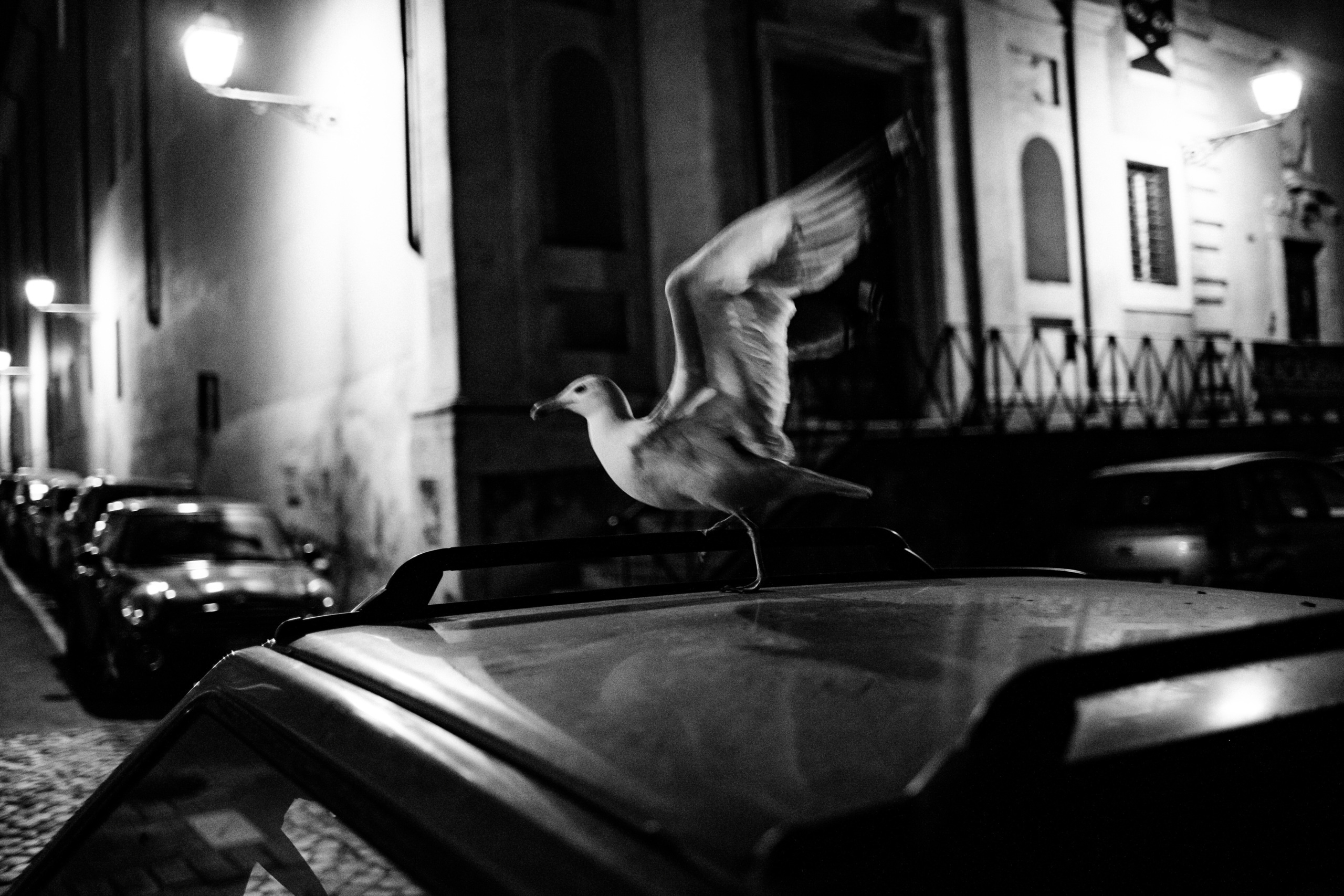 Свадебное путешествие в Италии. Свадебный фотограф Евгений Захарычев — Москва, Смоленск, Калуга, Брянск | Профессиональная съемка