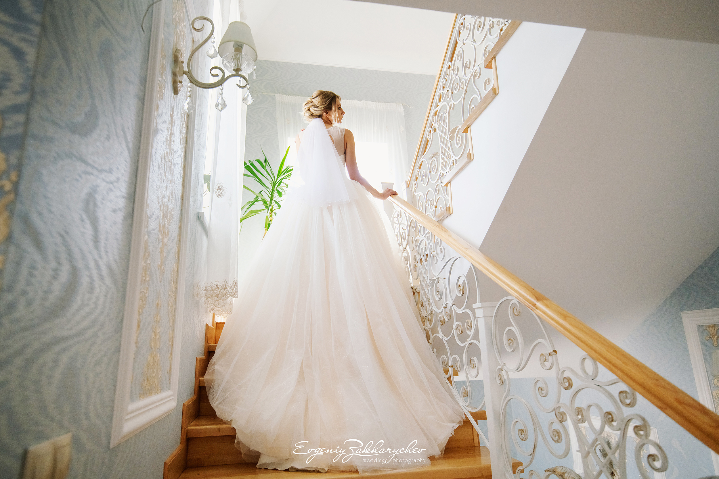 ARTEM & KATE. Professional wedding photographer Evgeniy Zakharychev