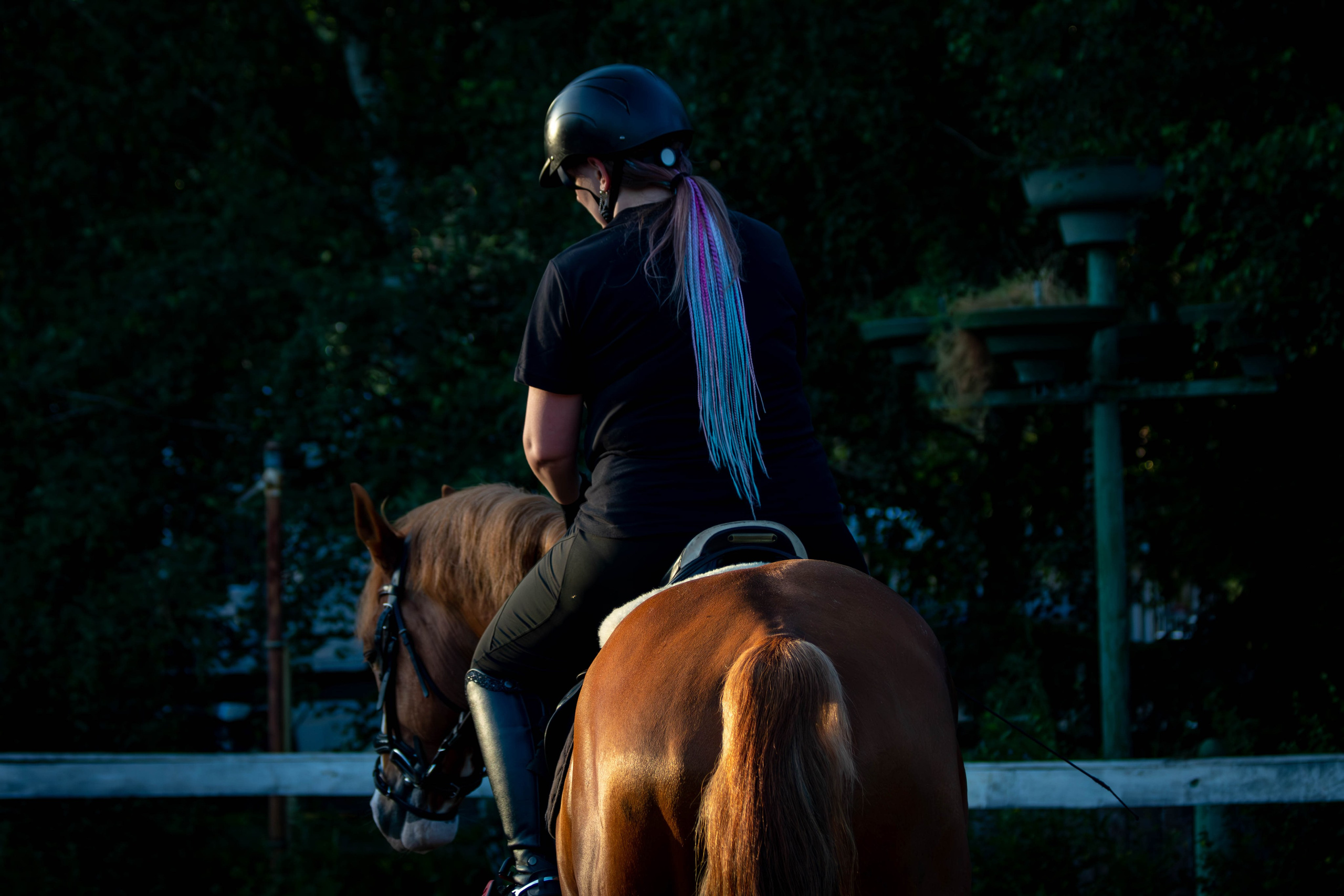 Таисия и Камелот. Фотограф анималист — Тула, Москва