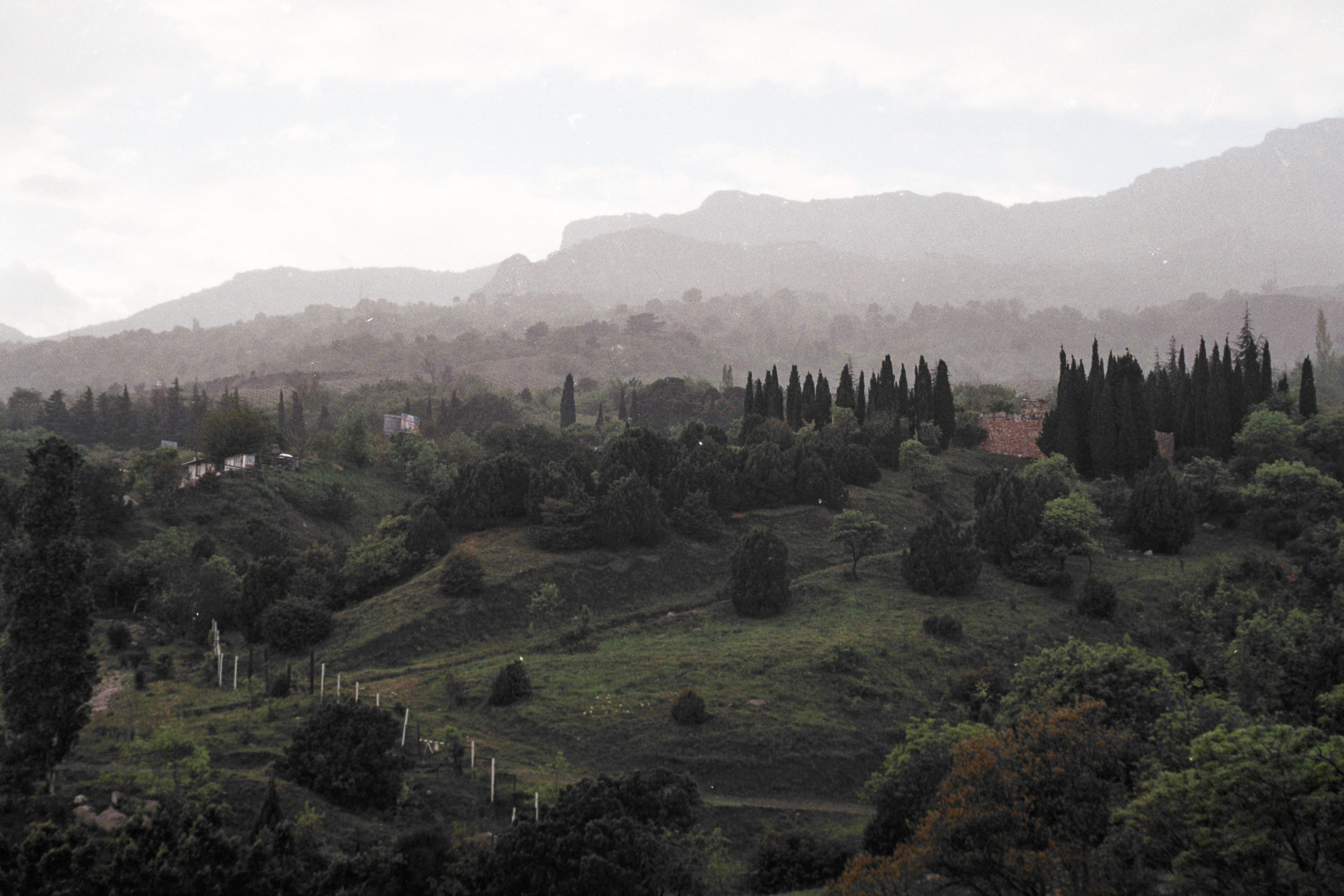 Nature. Артем Корнев Фотограф