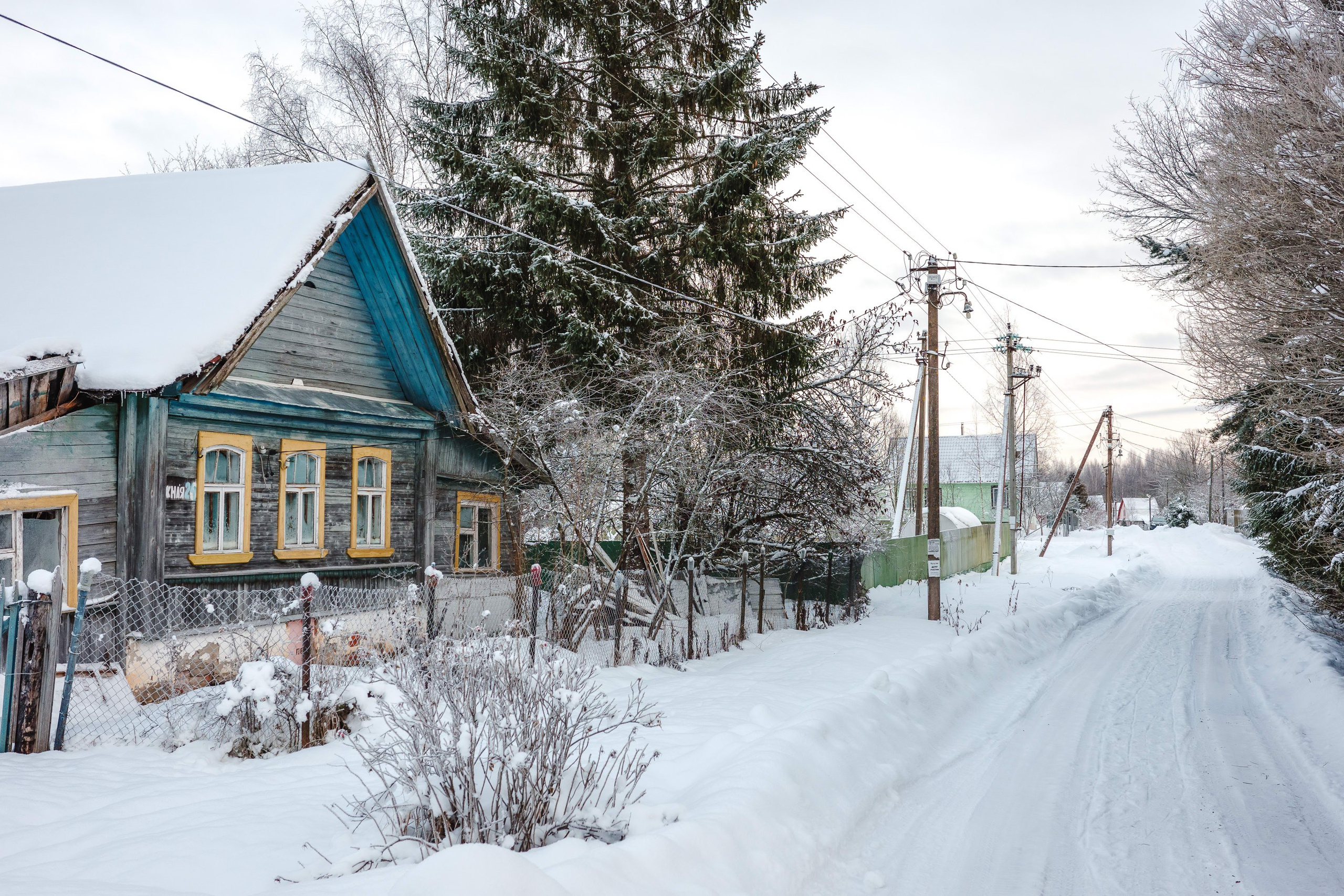 2024.01. Фотограф Алексей Алексеев