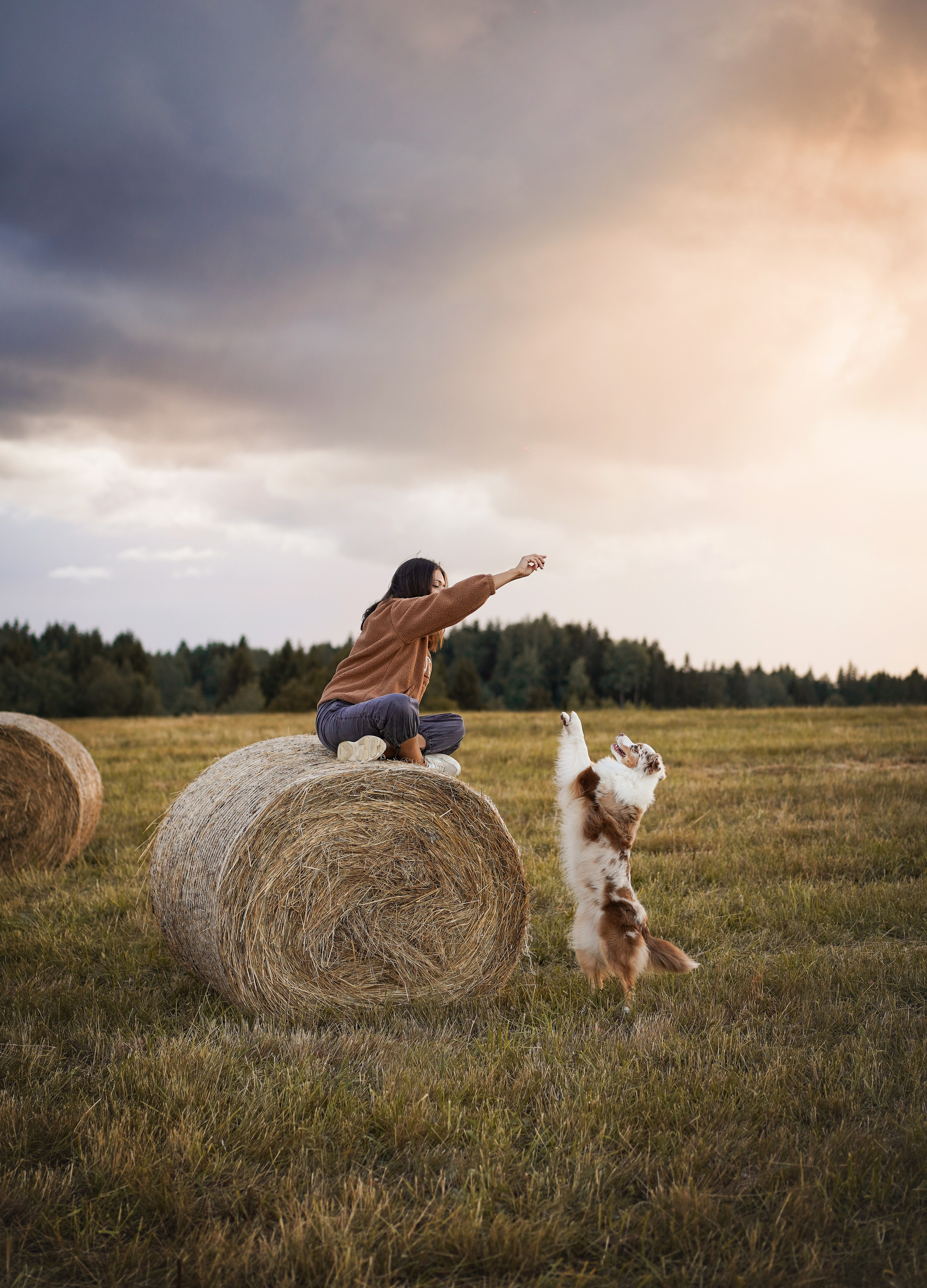 Панда и стога. Фотограф-анималист в Санкт-Петербурге Яна Мартынова