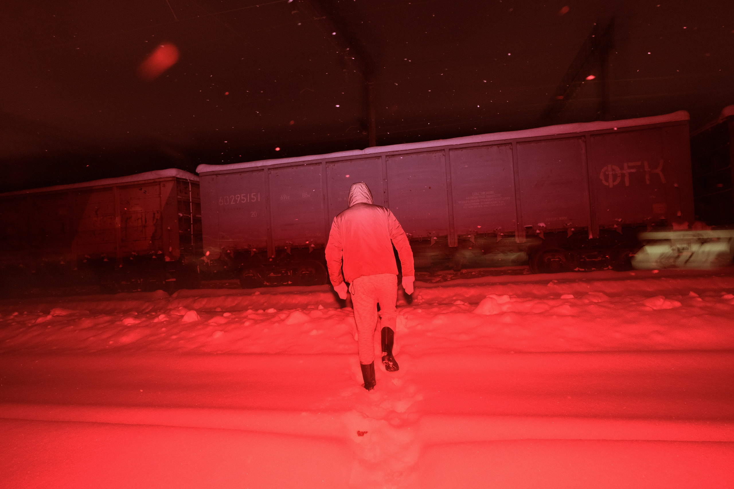 Курсы в записи со скидкой. Самоорганизация Низина