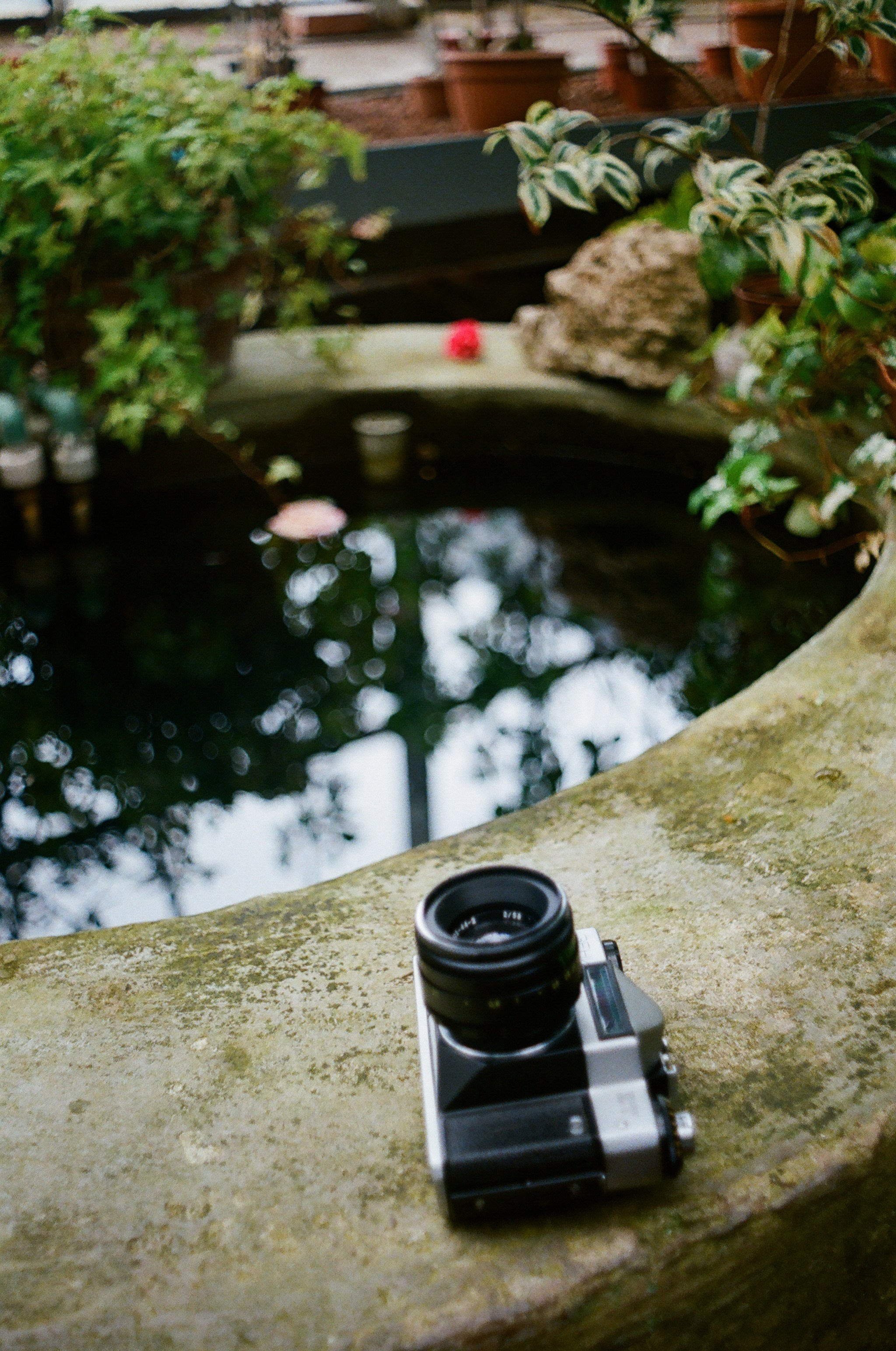 Пленка. Фотограф в Сургуте Ксения Лепина