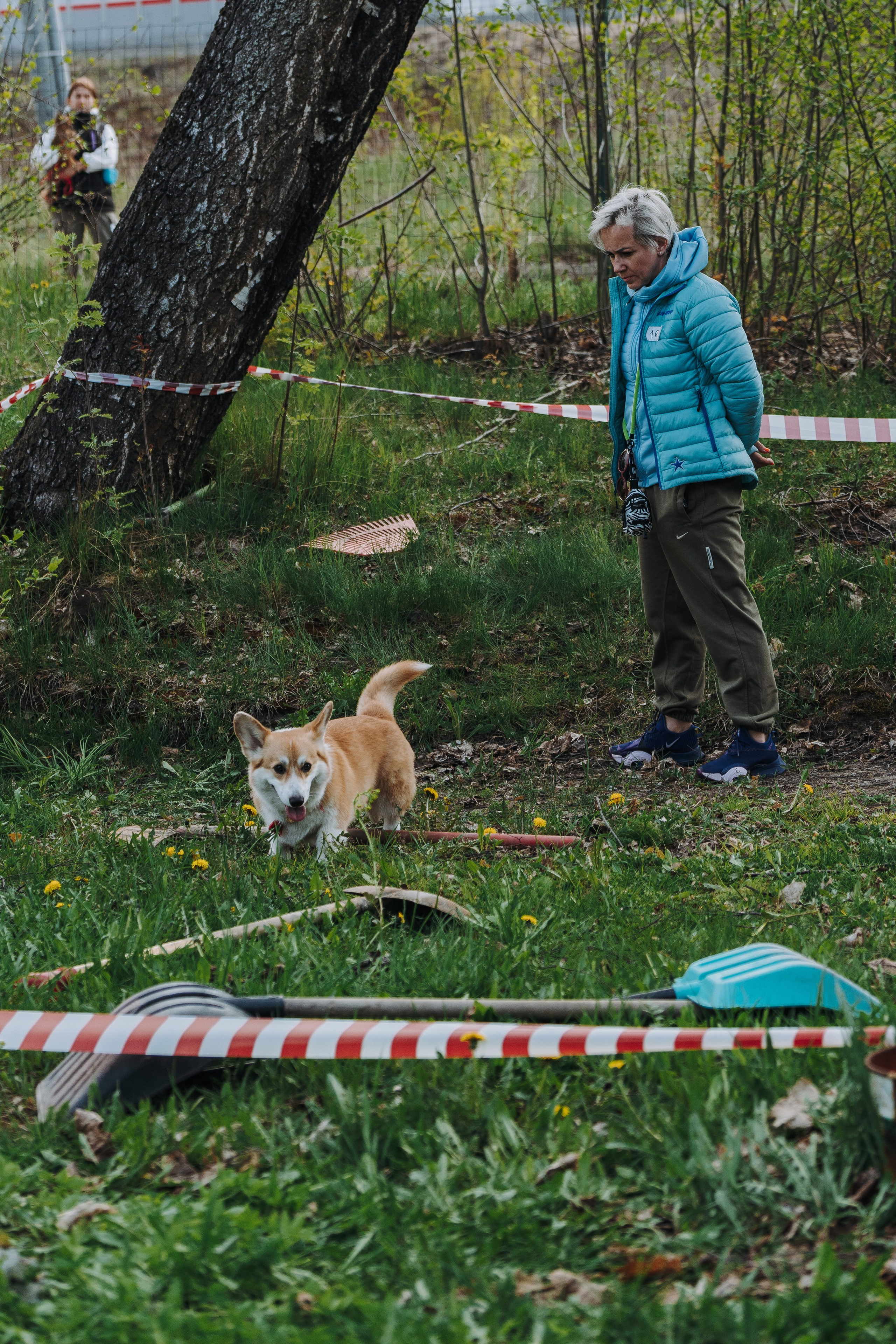 Соревнования по ноузворку в Лосево. Фотограф анималист в Спб недорого Олеся Майорова