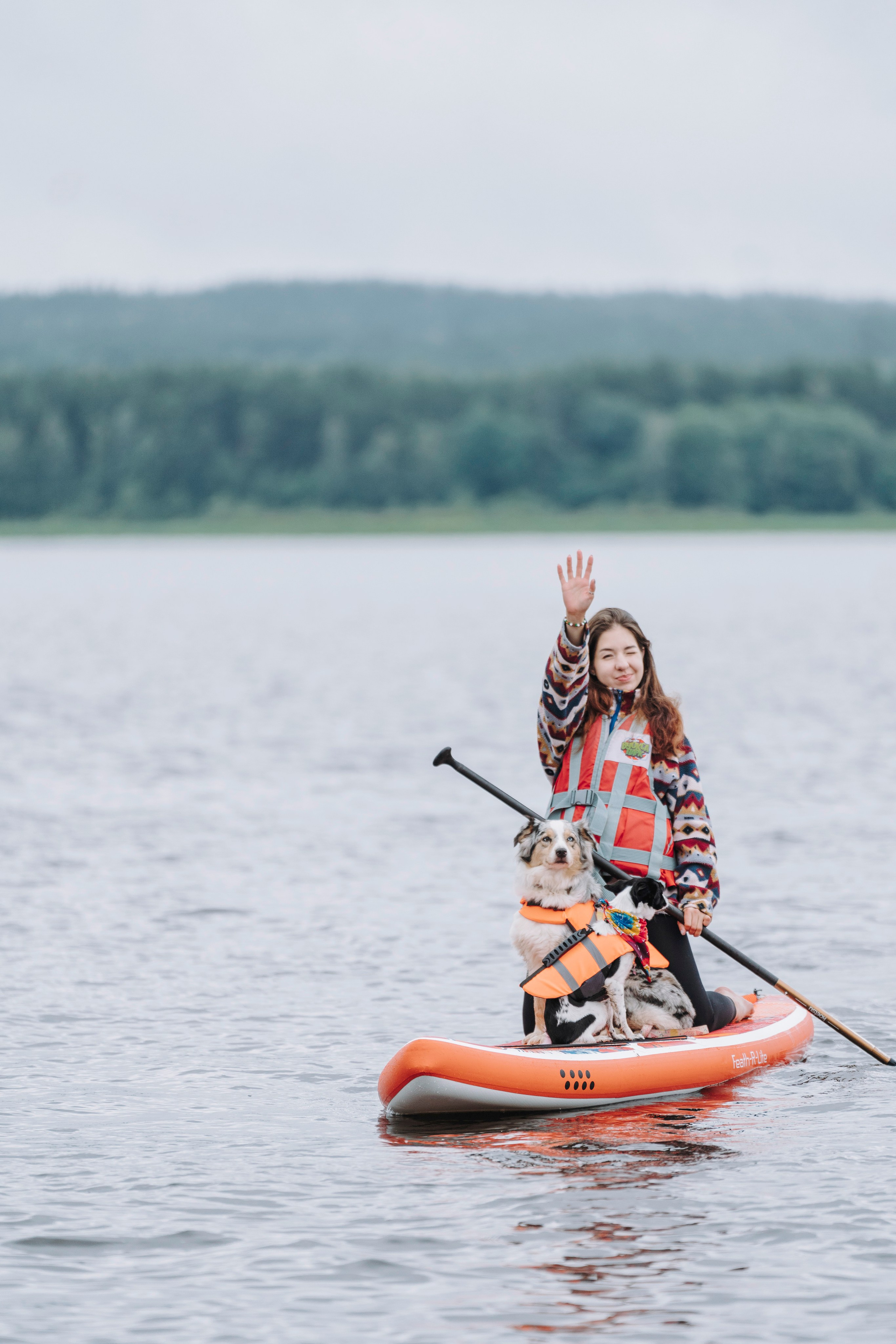 Катание на сапах с собаками. Фотограф анималист в Спб недорого Олеся Майорова