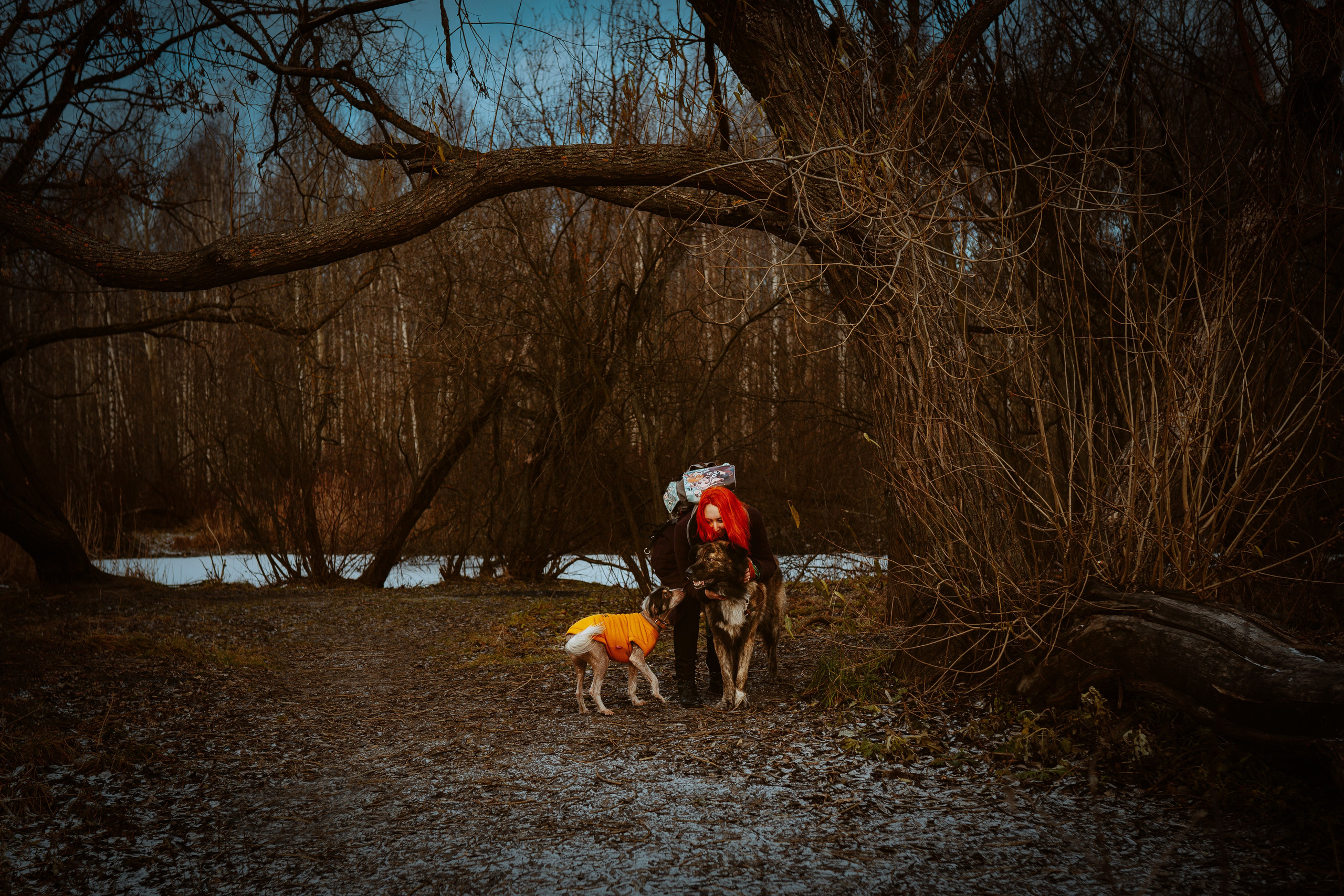 Творческая фотосессия фотографа анималиста. Фотограф анималист в Спб недорого Олеся Майорова