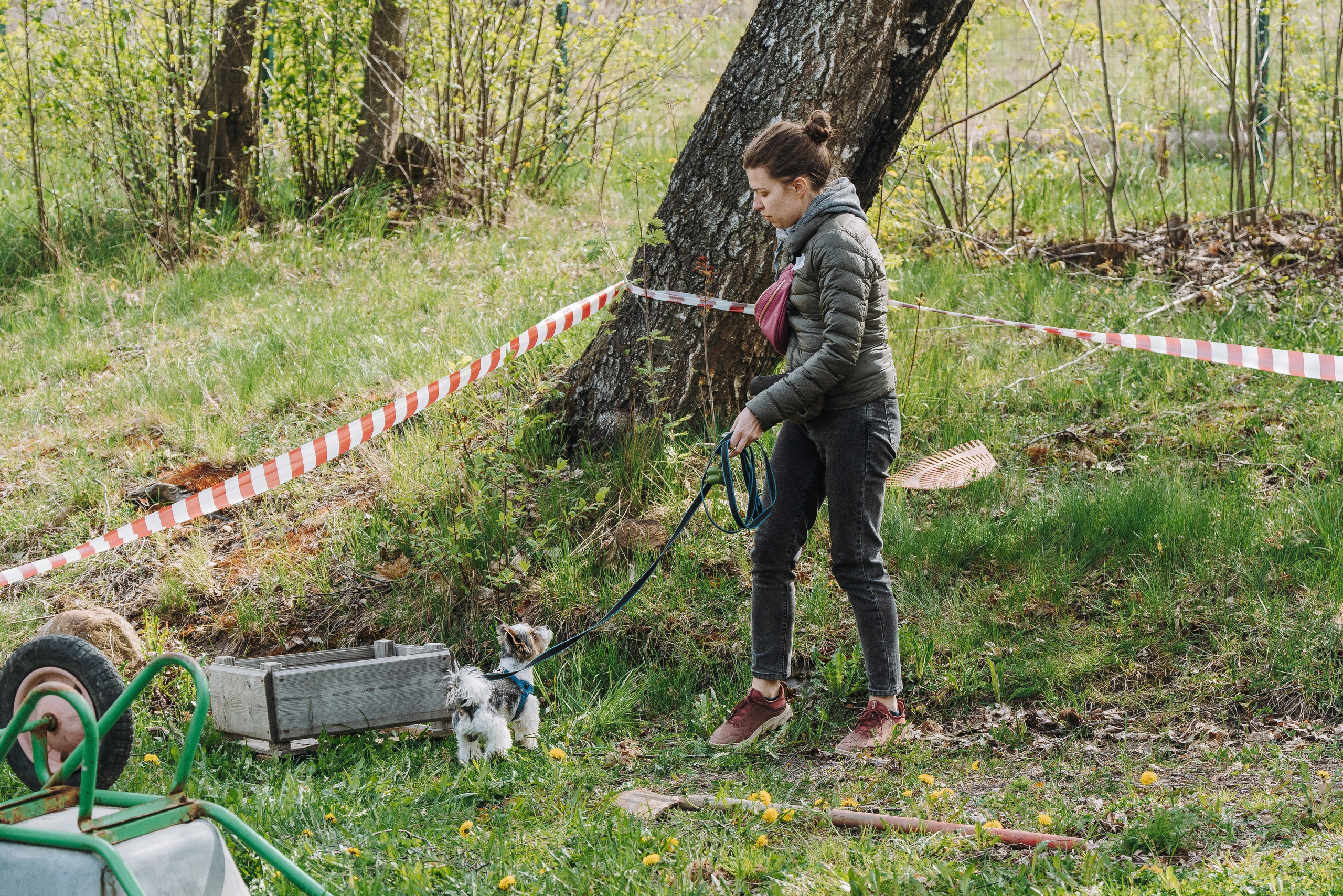 Соревнования по ноузворку в Лосево. Фотограф анималист в Спб недорого Олеся Майорова