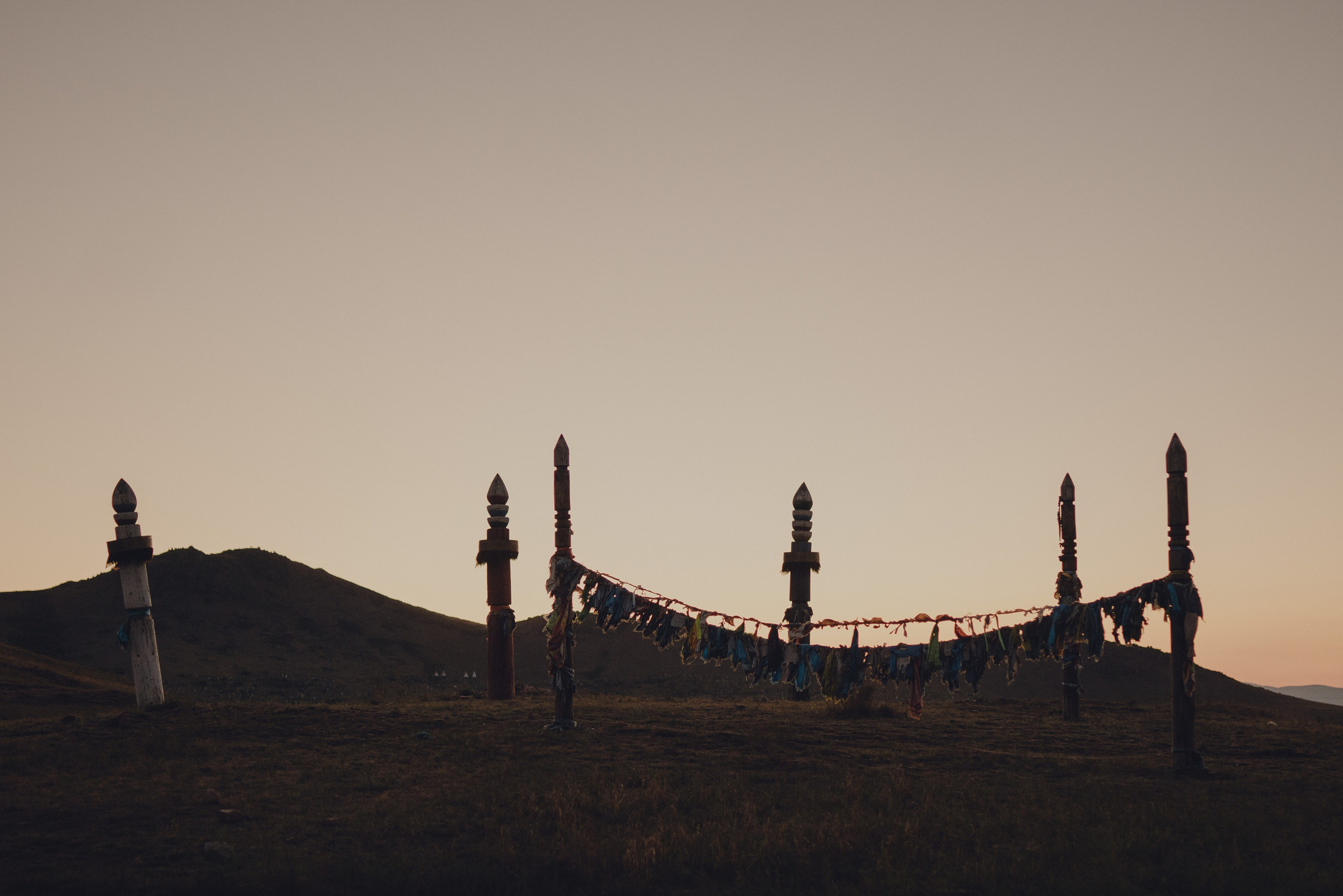 Настя и Умка. Фотограф анималист в Спб недорого Олеся Майорова