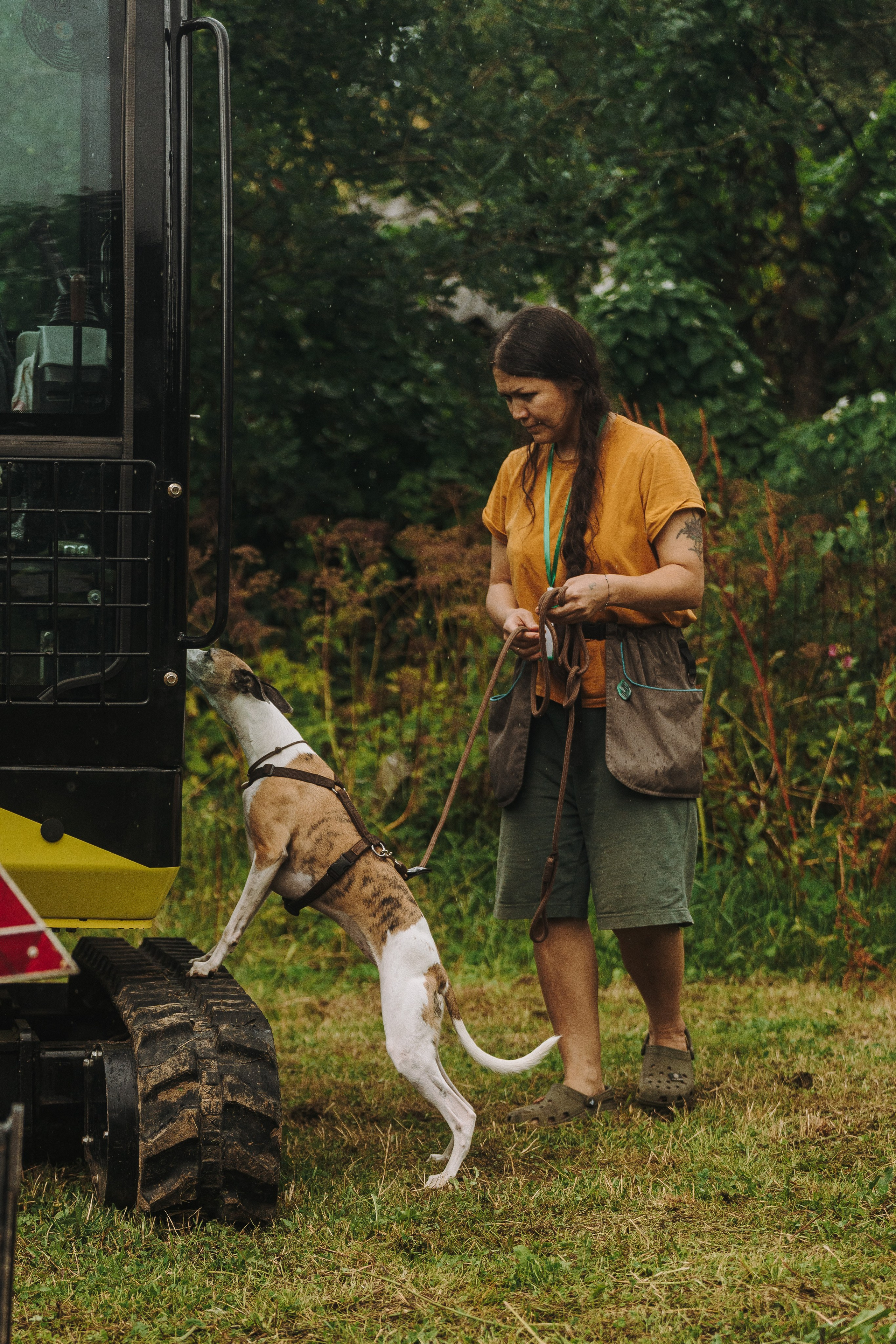 Соревнования по ноузворку в Новожилово. Фотограф анималист в Спб недорого Олеся Майорова