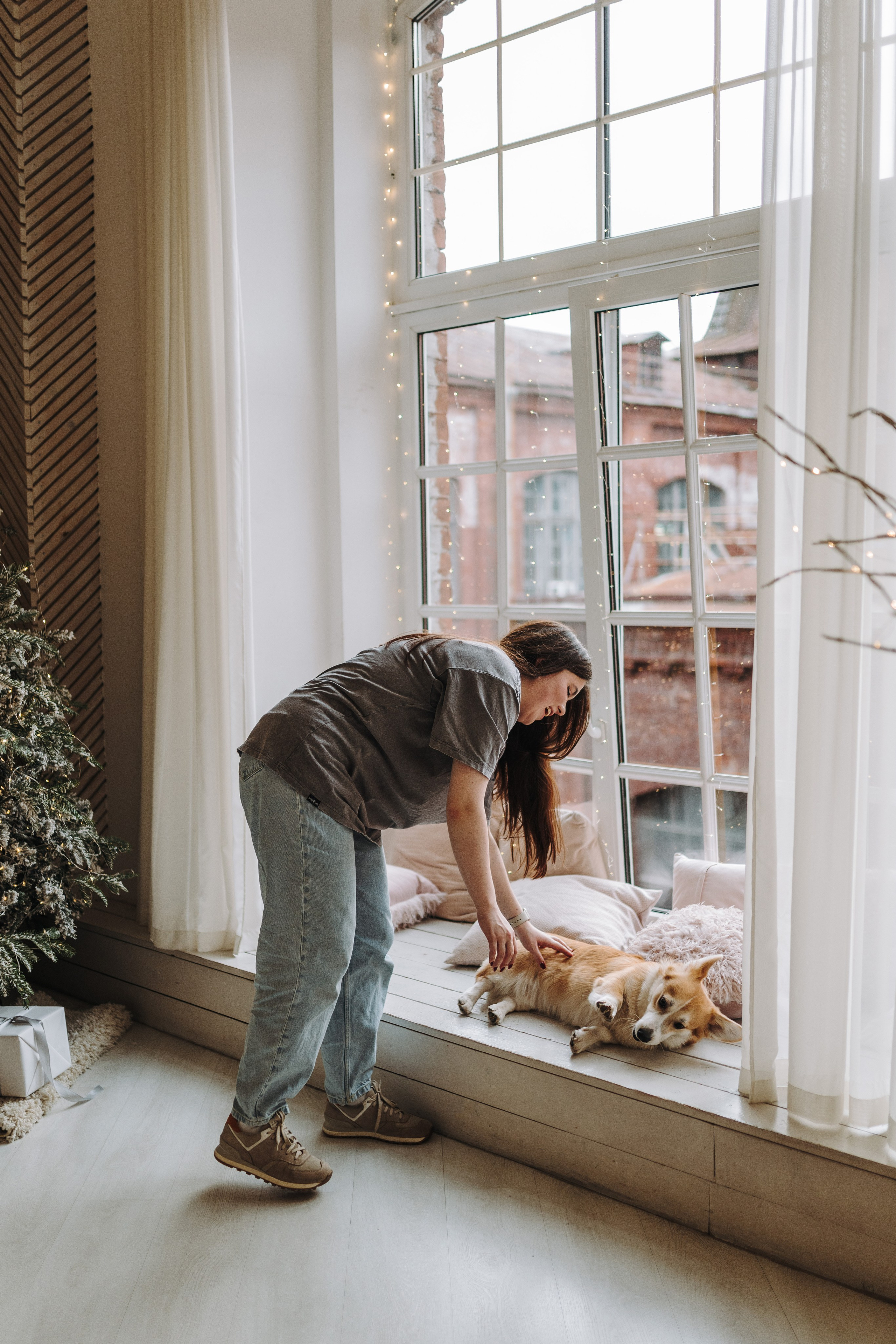 Александра и Бри. Фотограф анималист в Спб недорого Олеся Майорова