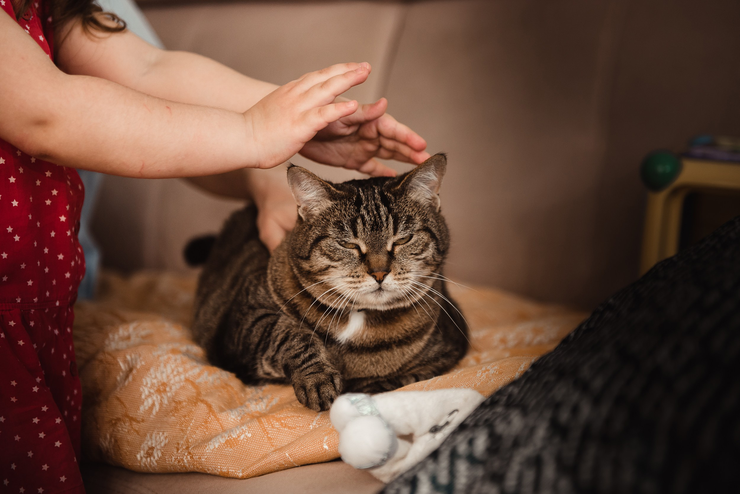 Мамины девочки. Семейный Фотограф в Москве Ирина Хохлова