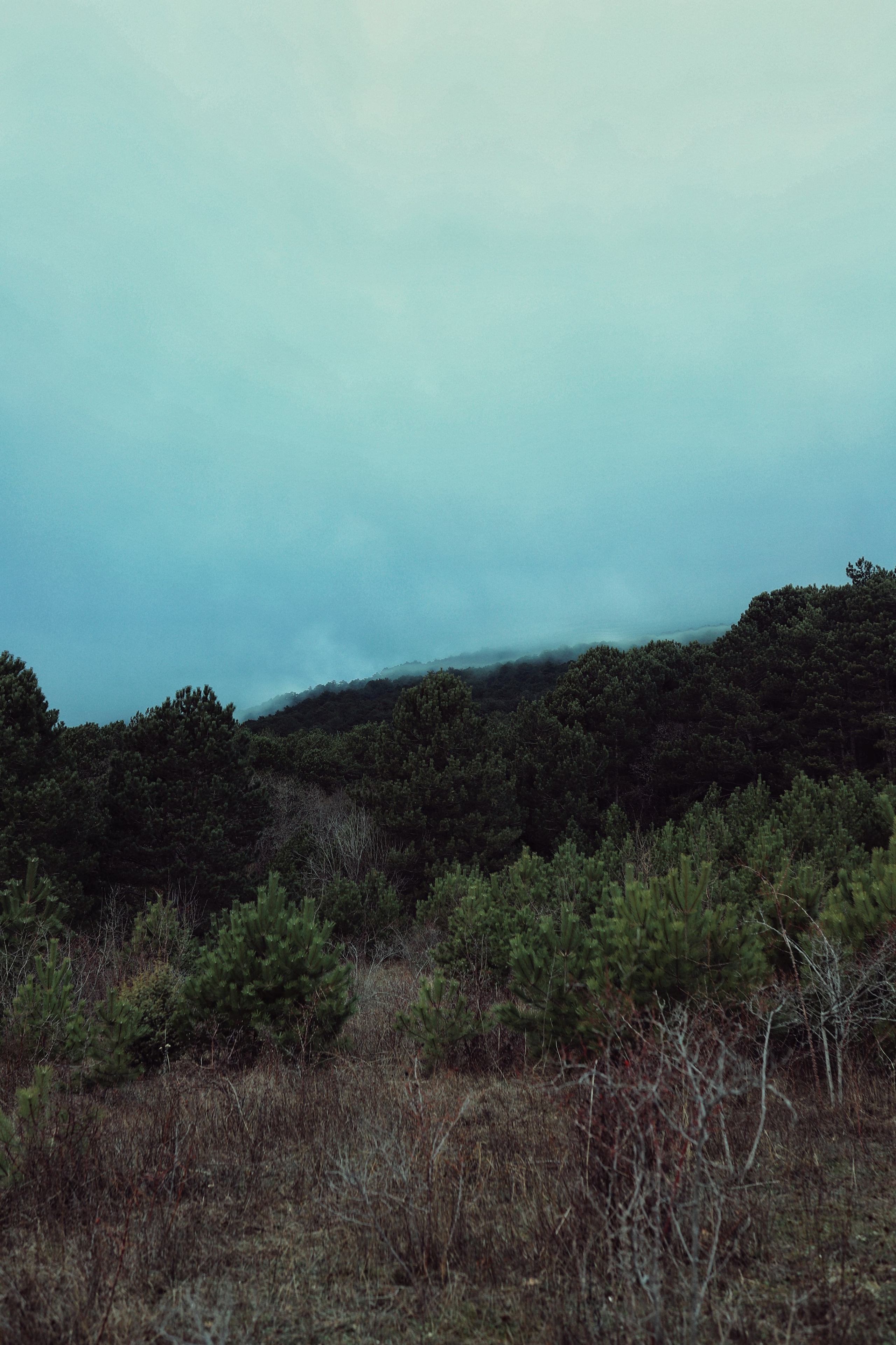 Бирюзовое озеро. Фотограф и видеограф в Санкт-Петербурге