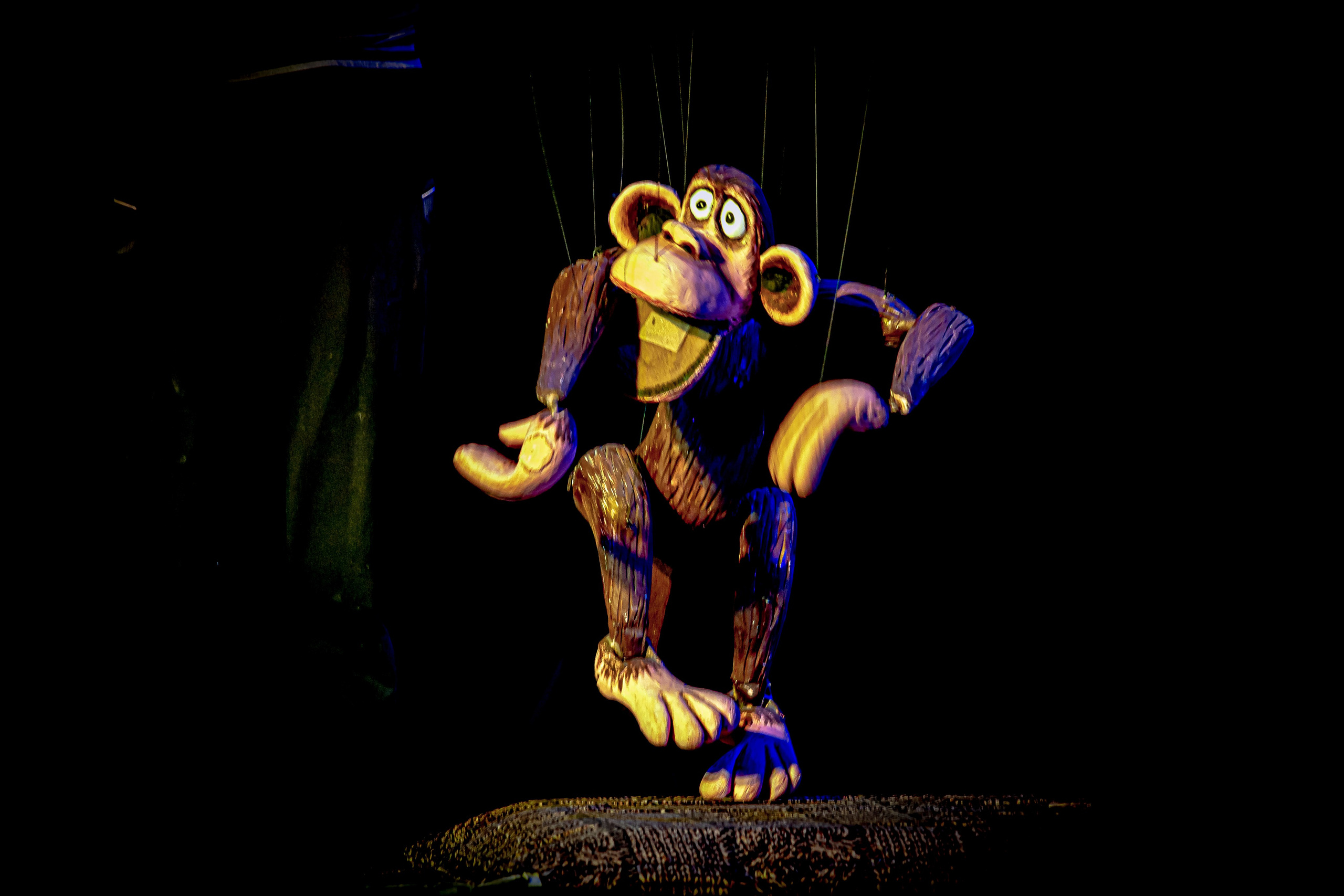 Жирафа и носорог спектакль театра Саквояж. Фотограф в Сочи Юрий Шептаев