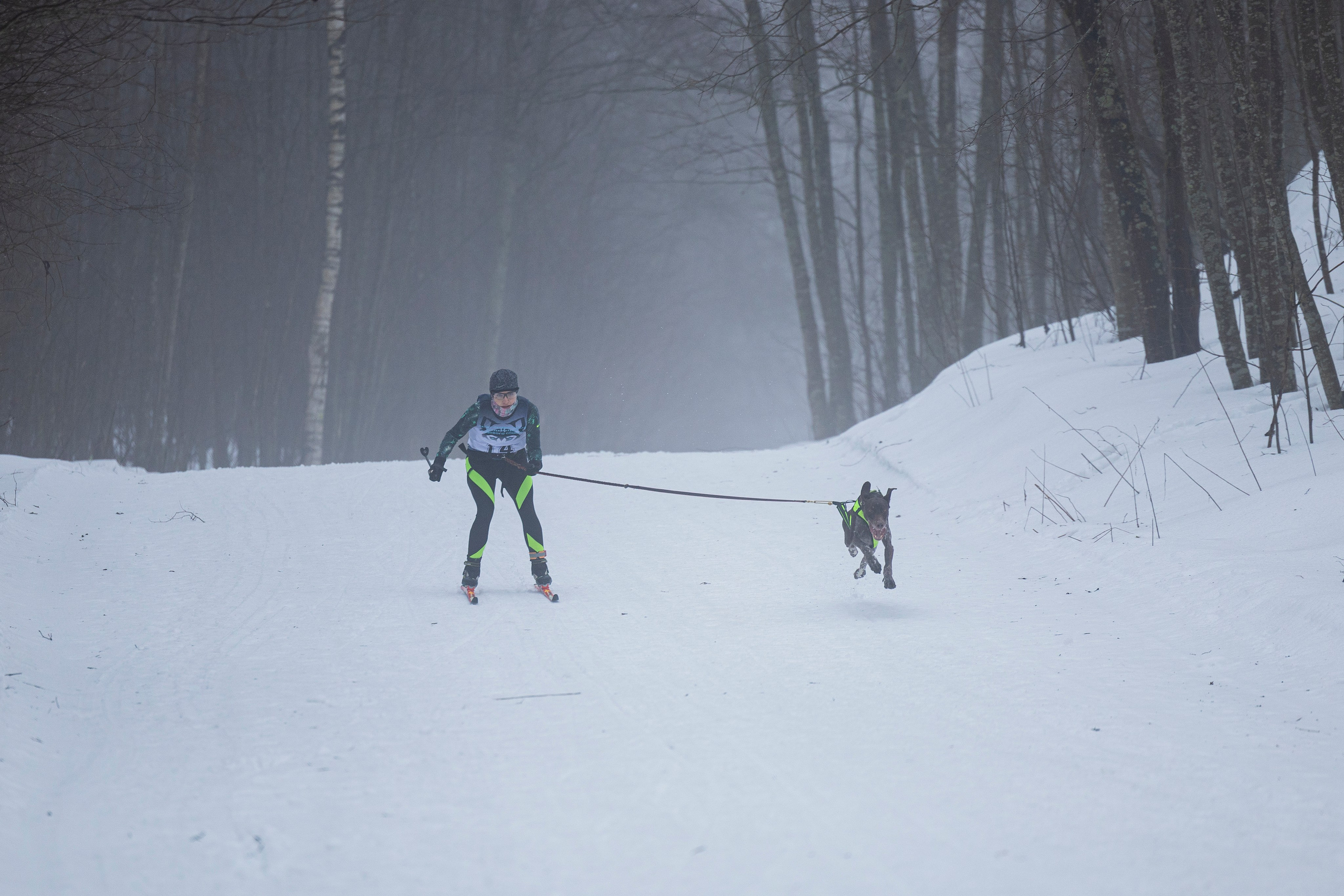 Зимний Чемпионат Санкт-Петербурга по ездовому спорту. Фотограф-анималист Анна Маринич