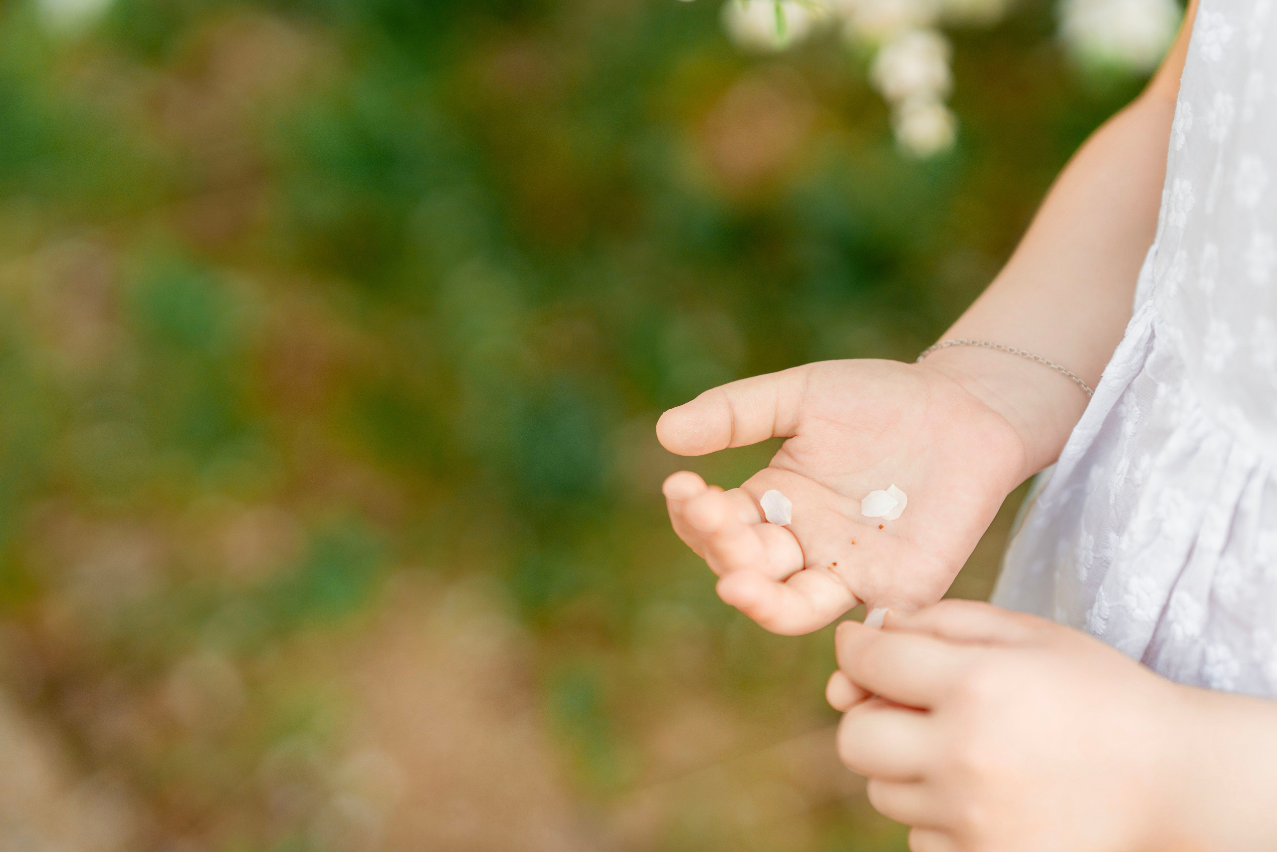 Цветение. Фотограф Юлия Попова