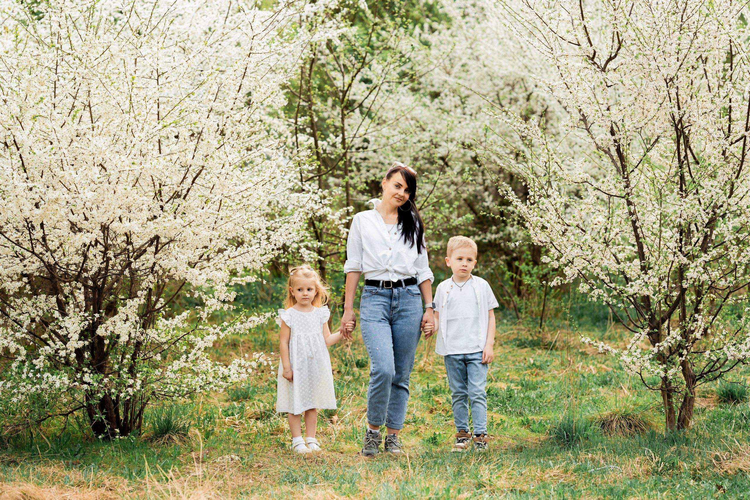 Цветение. Фотограф Юлия Попова