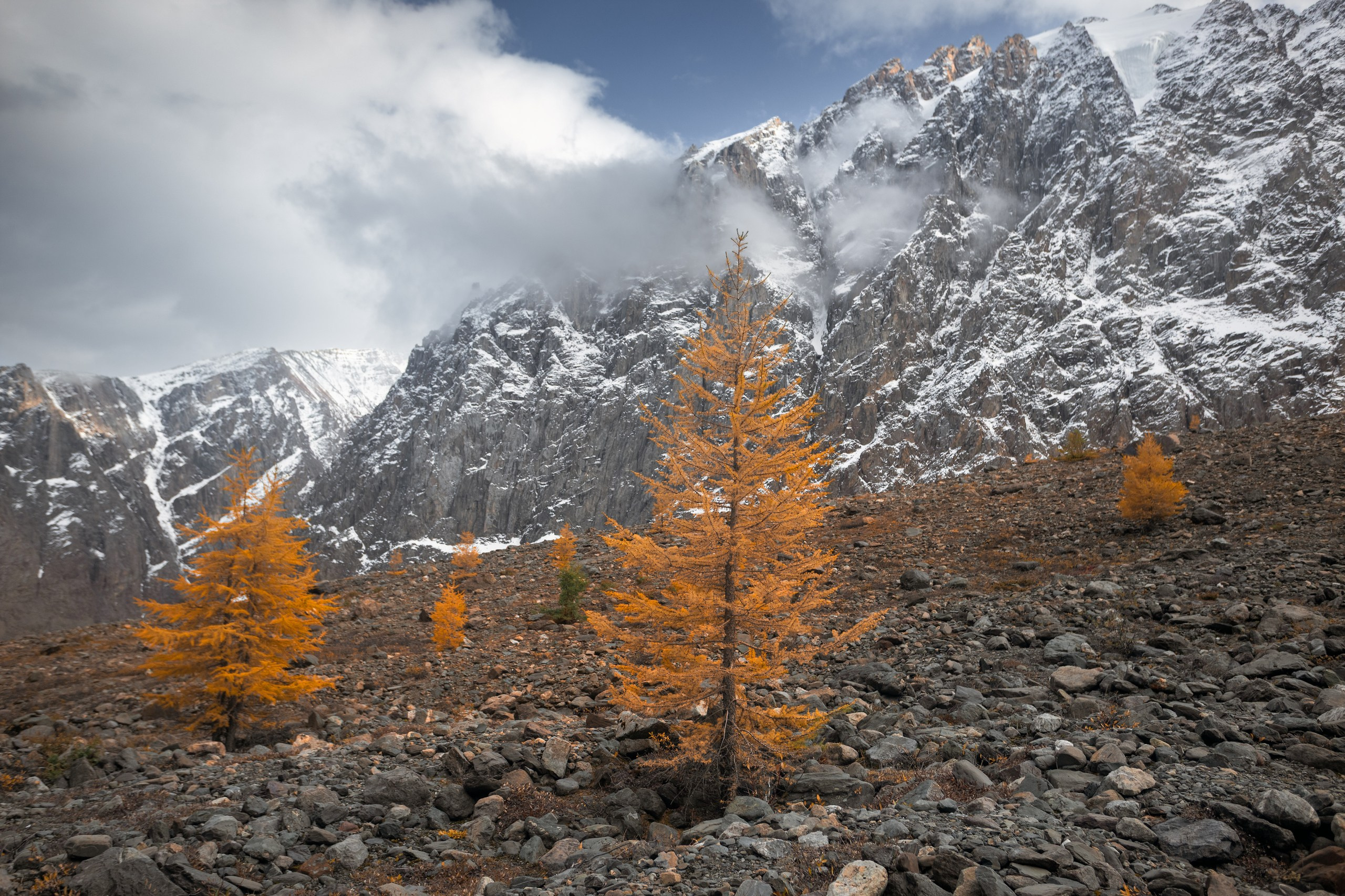 Алтай. Фотограф в Красноярске Нерозя Александр. Пейзаж, природа, портрет