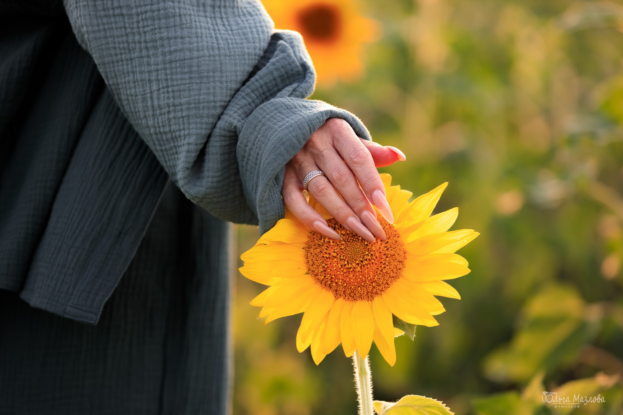Фотосессия с питомцами. Фотограф в Саратове Ольга Мазлова