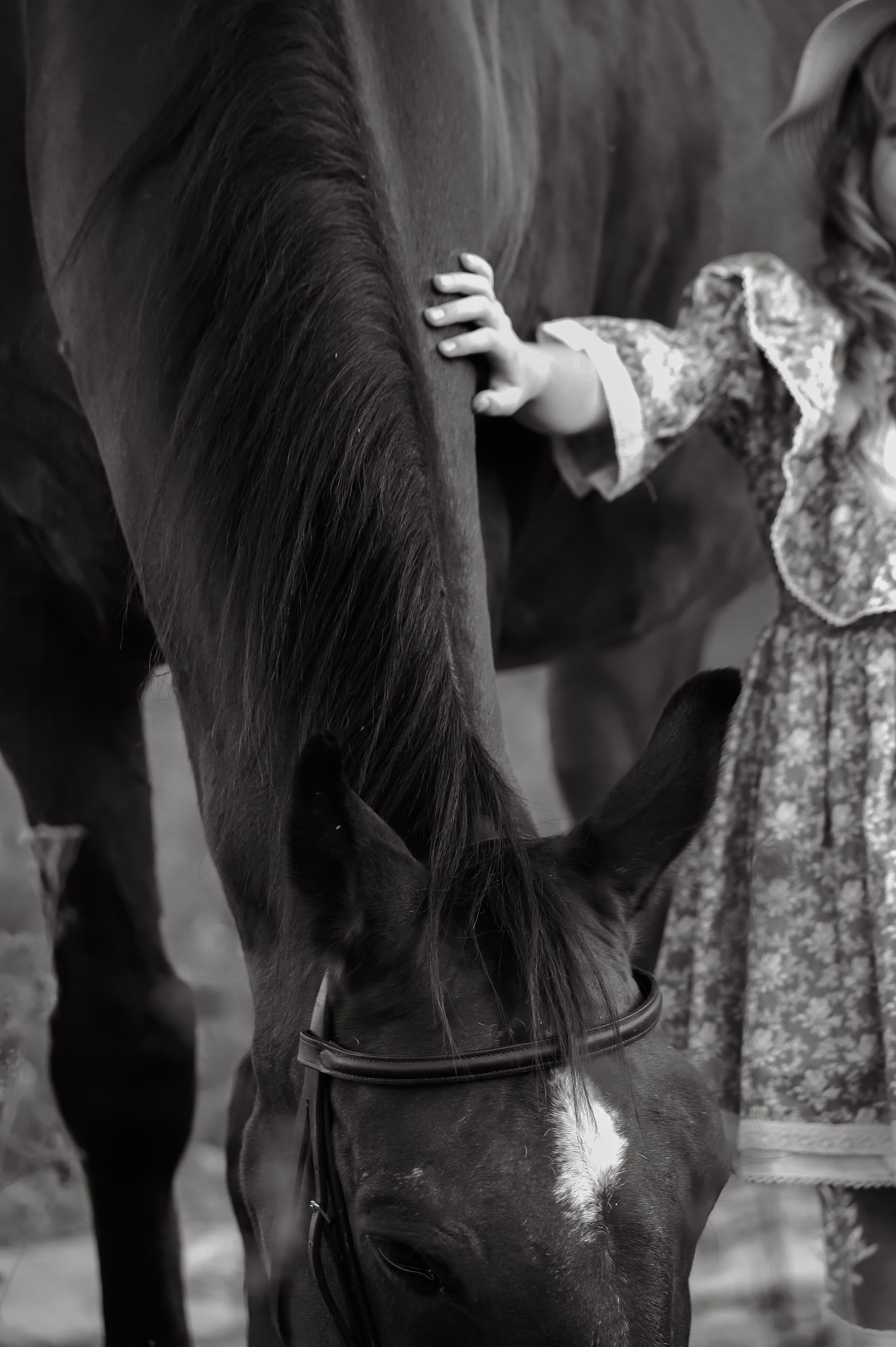 Анастасия. Фотограф Москва и МО Анастасия Пясковская