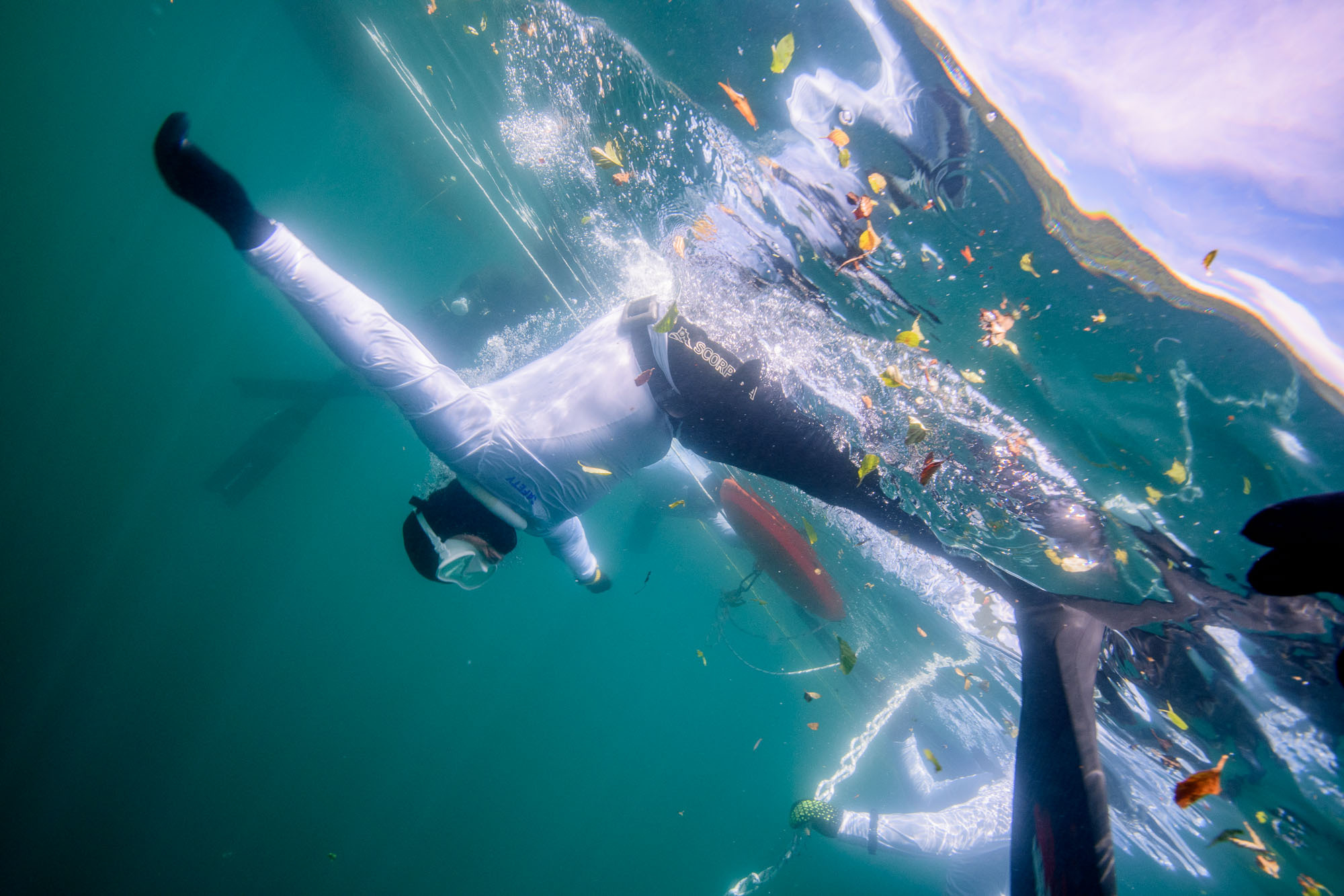 Фоторепортаж с чемпионата России по фридайвингу. Профессиональная фотосъемка. Ростов-на-Дону