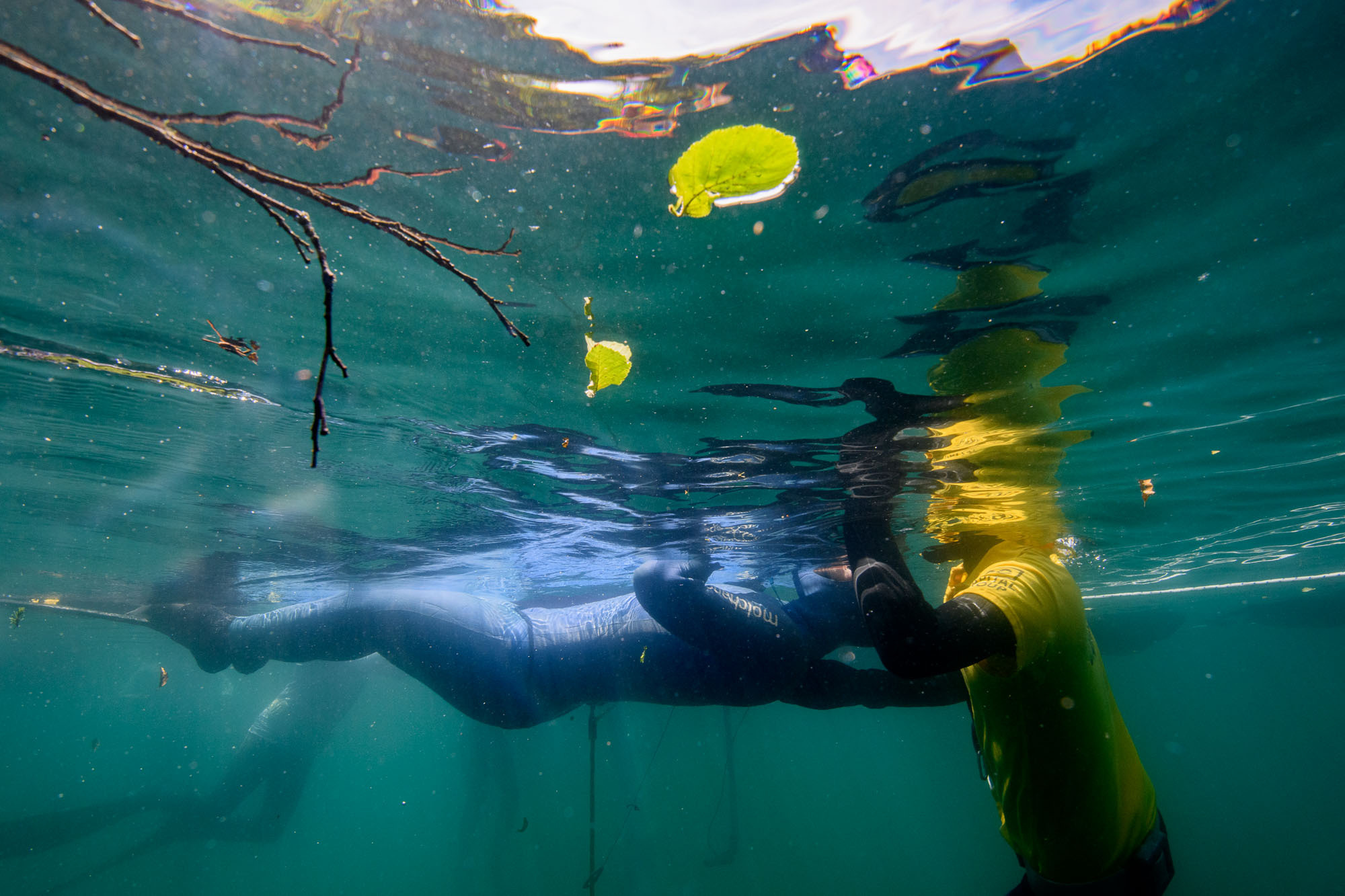 Фоторепортаж с чемпионата России по фридайвингу. Профессиональная фотосъемка. Ростов-на-Дону