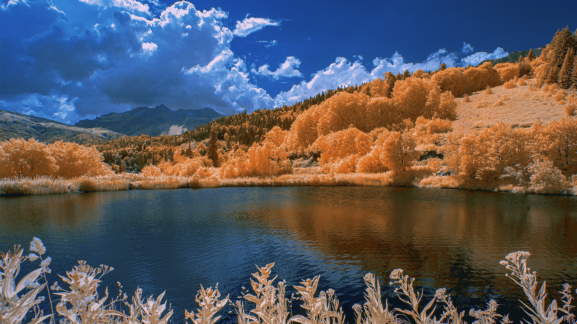 Озеро на высоте 1600 метров. Партизанский приют. Адыгея